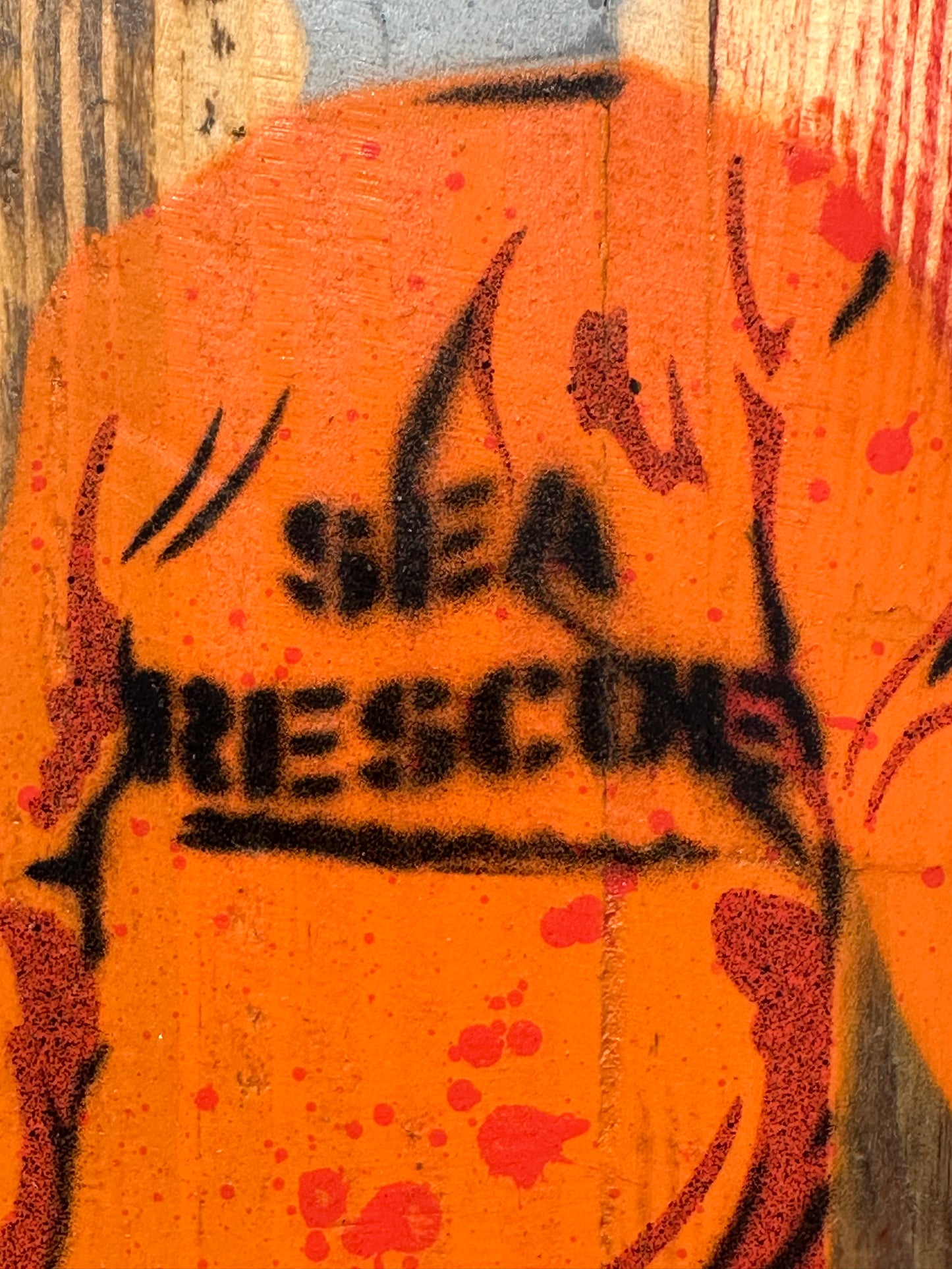 "Sea Rescue" / Saure Gurke #100