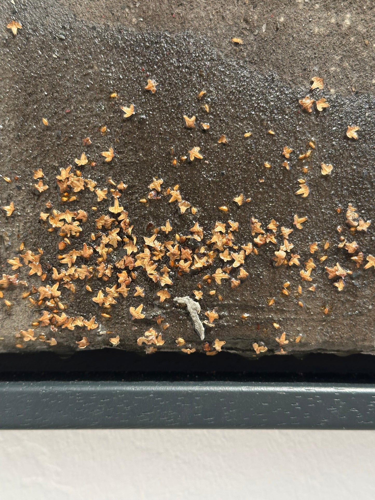 "on behalf" / limitiertes Orginal