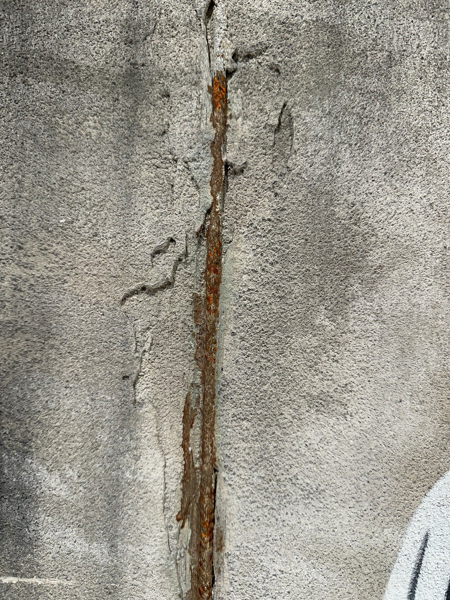 "wake up" / limitiertes Orginal