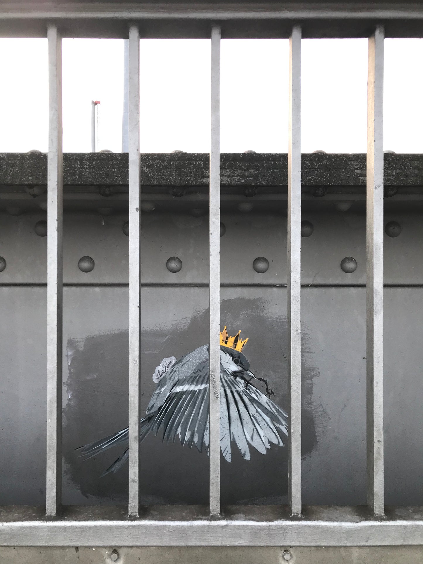 "Zaunkönig" / Saure Gurke #116