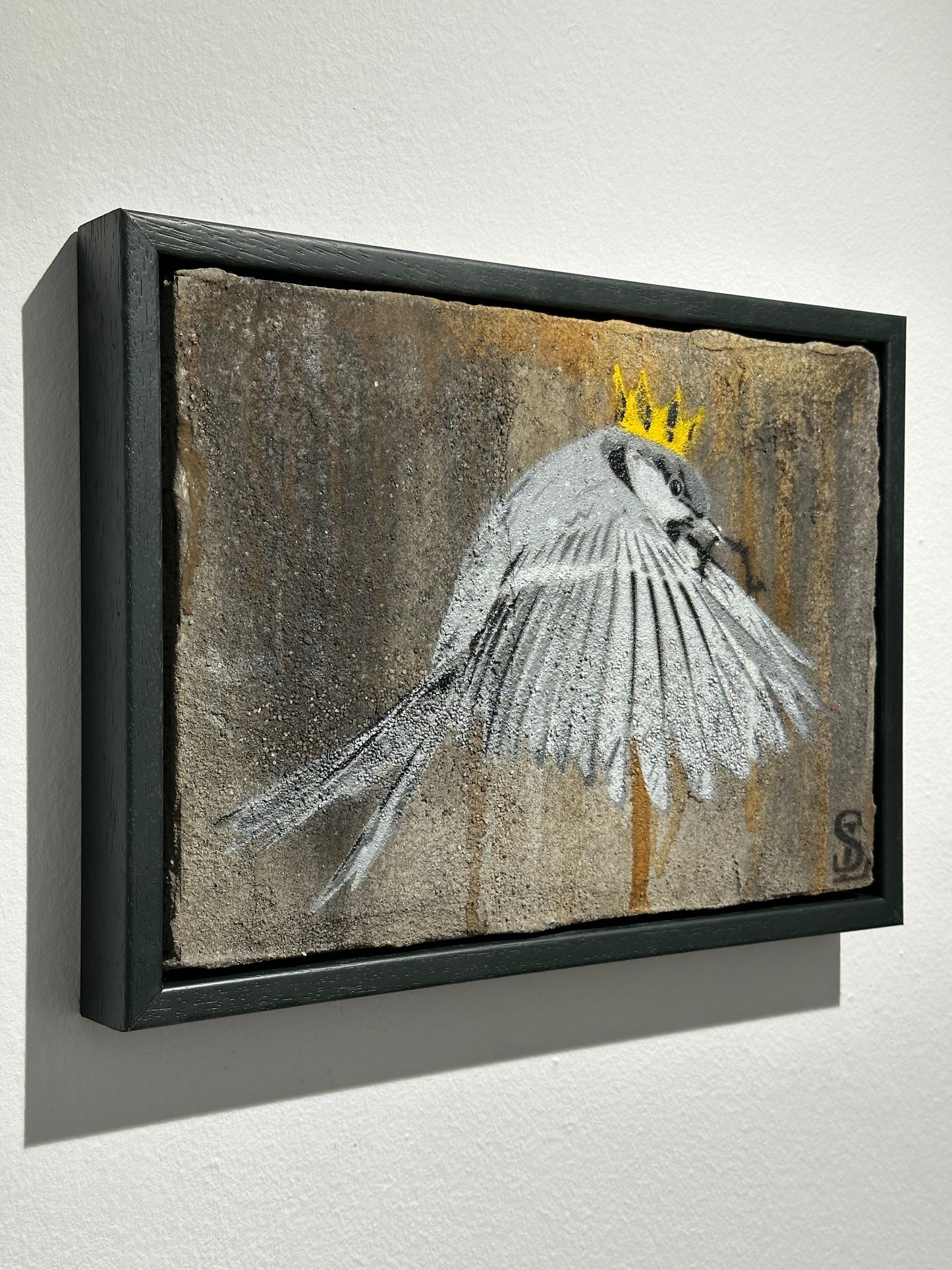 « Wren » / Concombre aigre n° 56