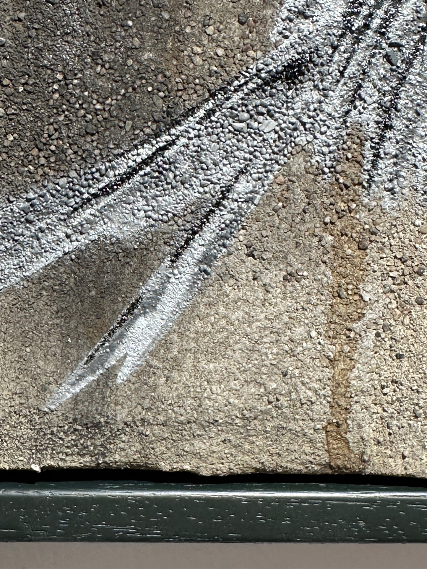 « Wren » / Concombre aigre n° 56