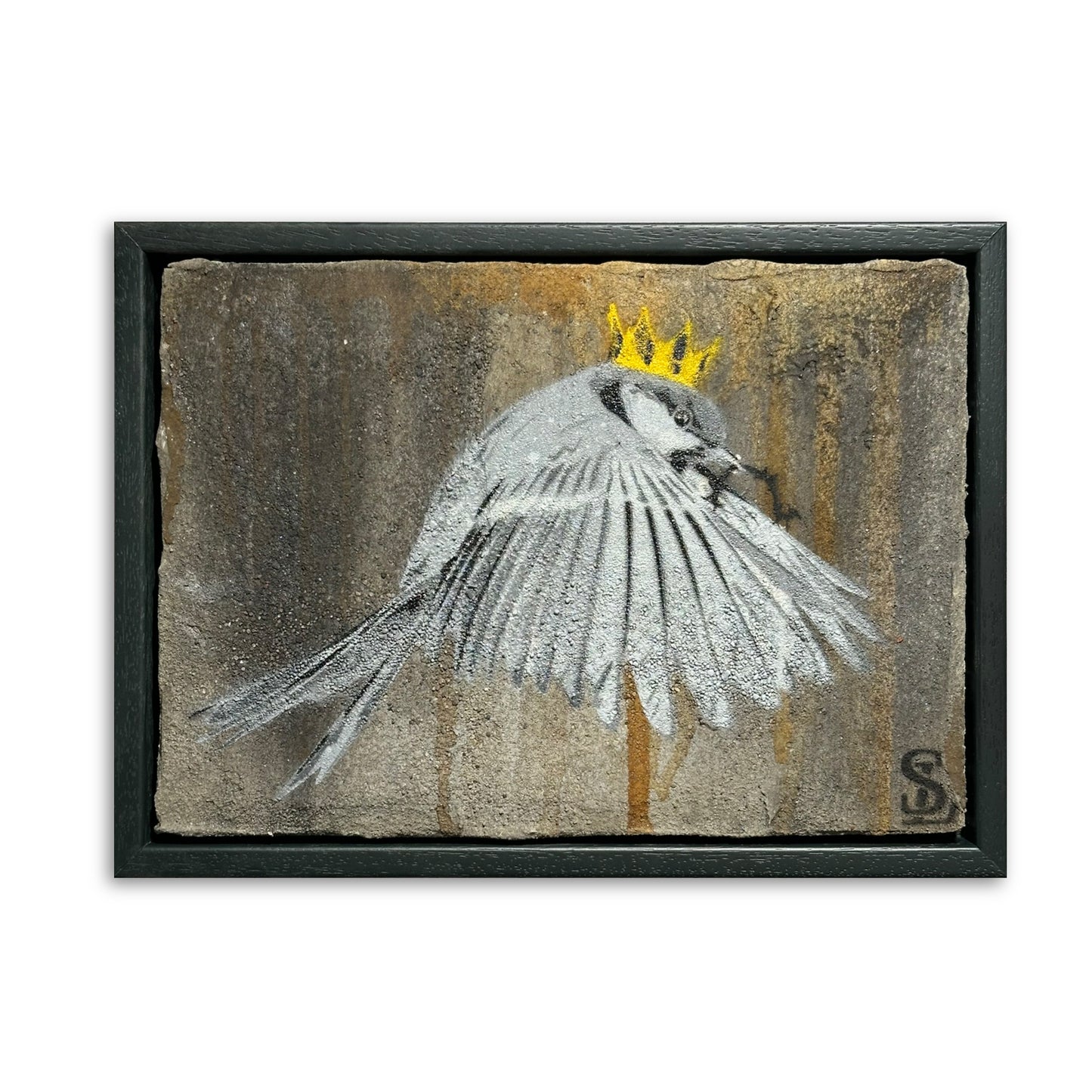 « Wren » / Concombre aigre n° 56