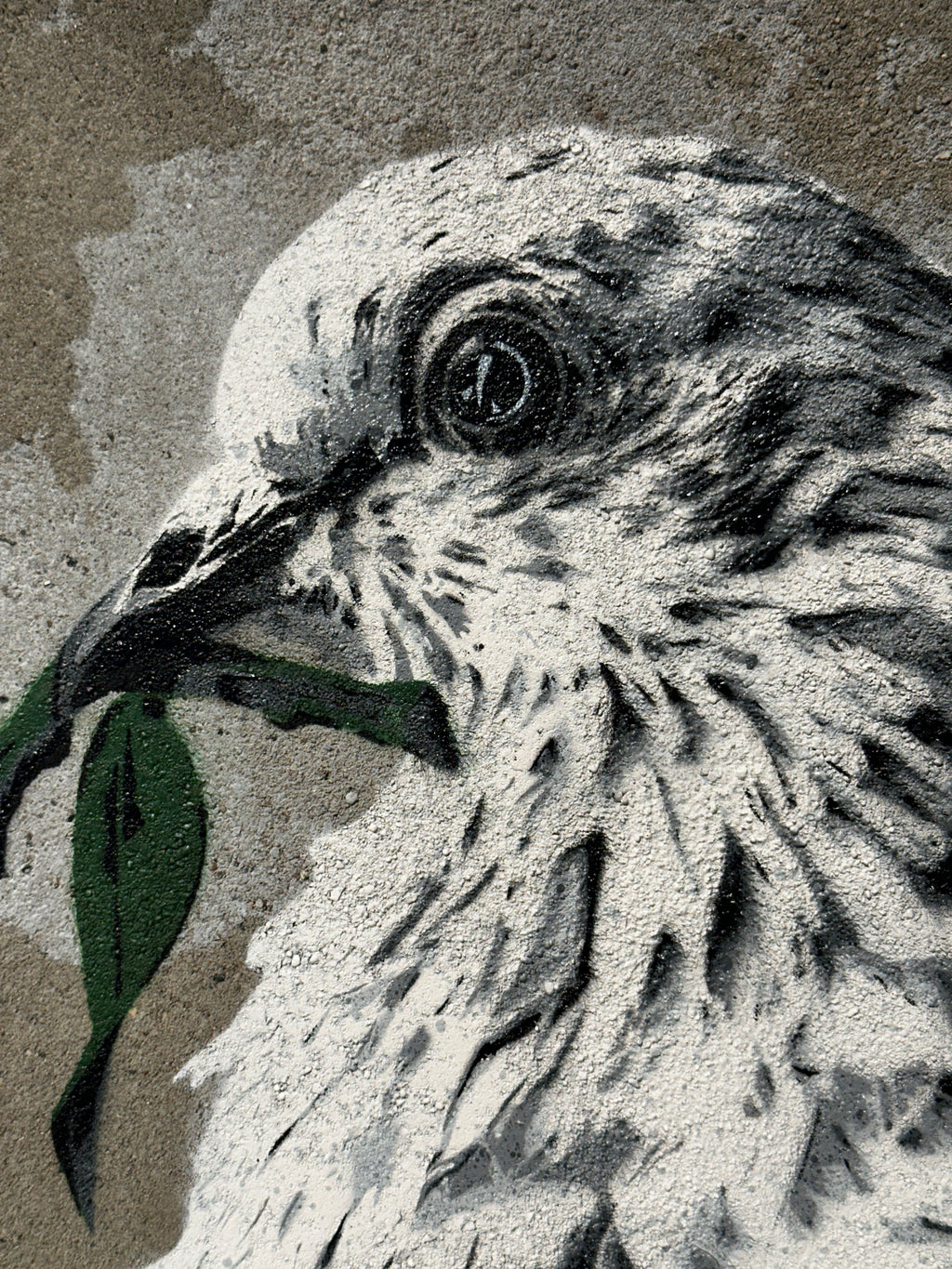 "Hard Times" / limitiertes Orginal ´