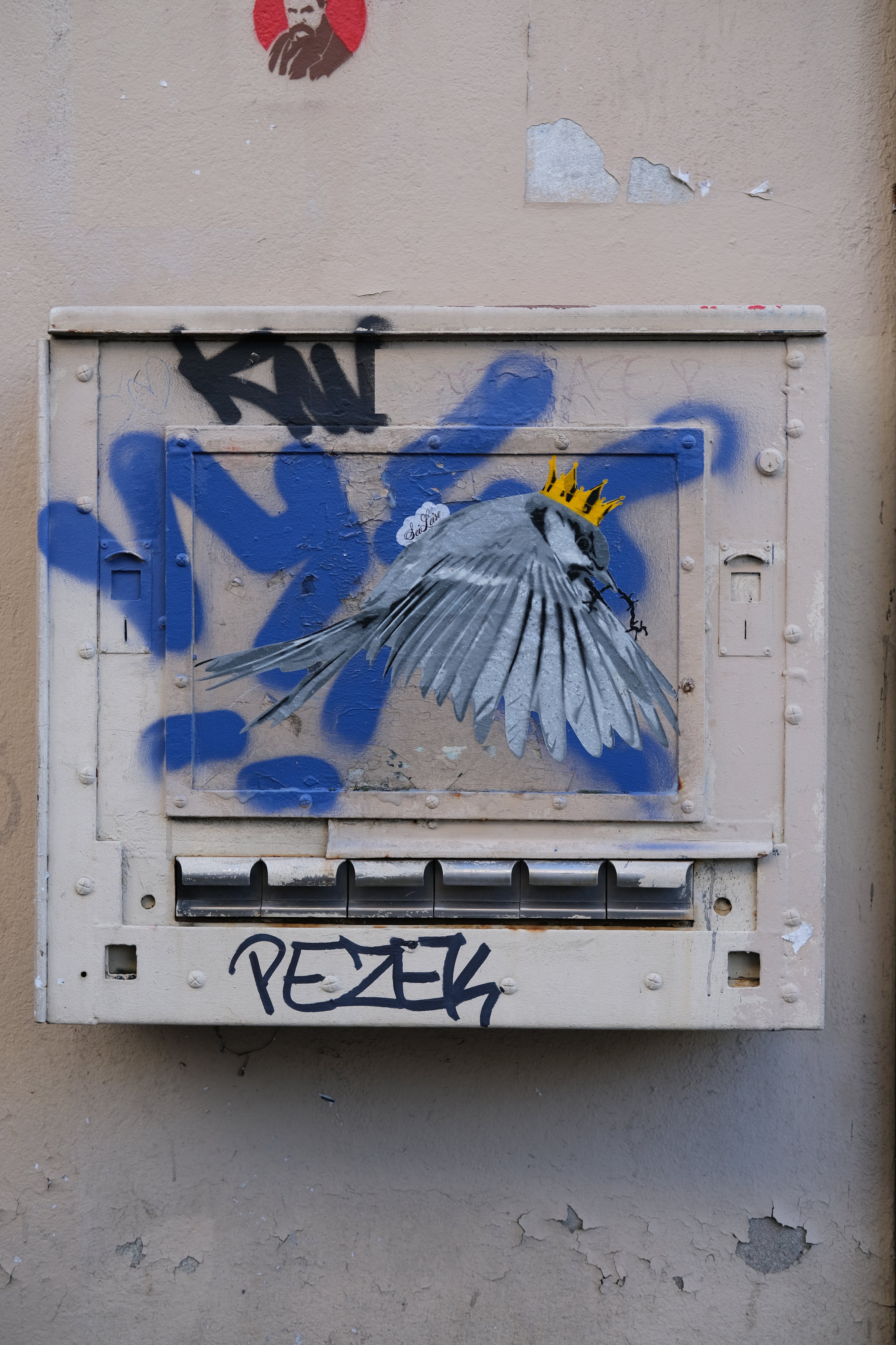 "Wren" / Saure Gurke #119