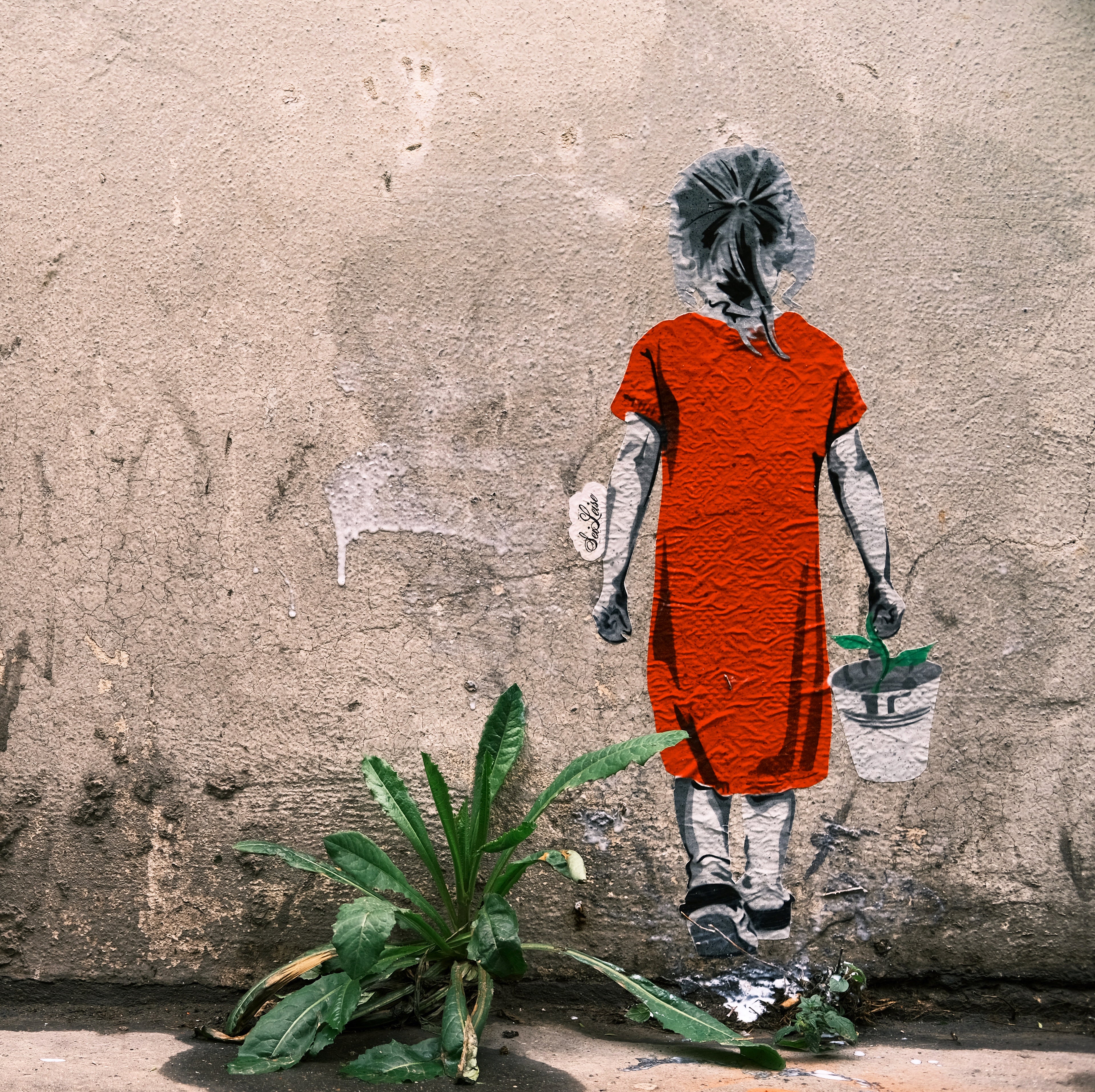 seiLeise // Flower Girl // Black Edition (10 Sheets)