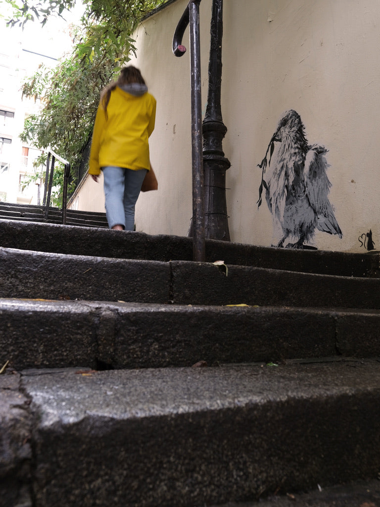 "Hard Times" / limitiertes Orginal ´