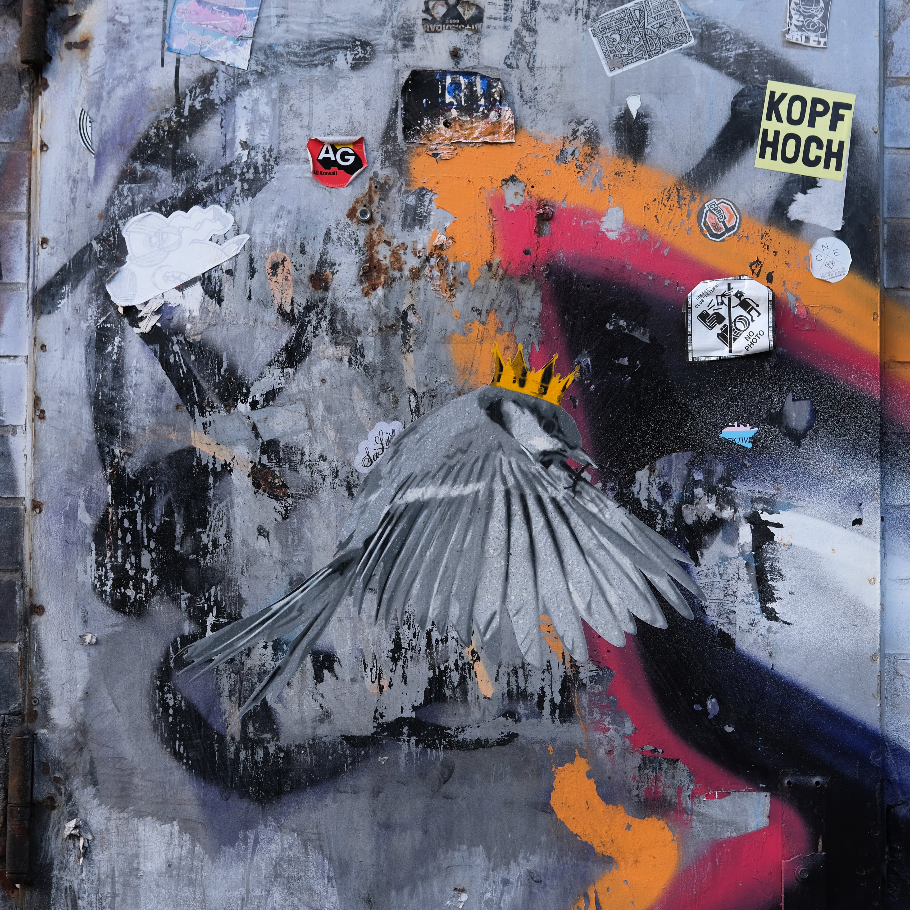 "Wren" / Saure Gurke #119