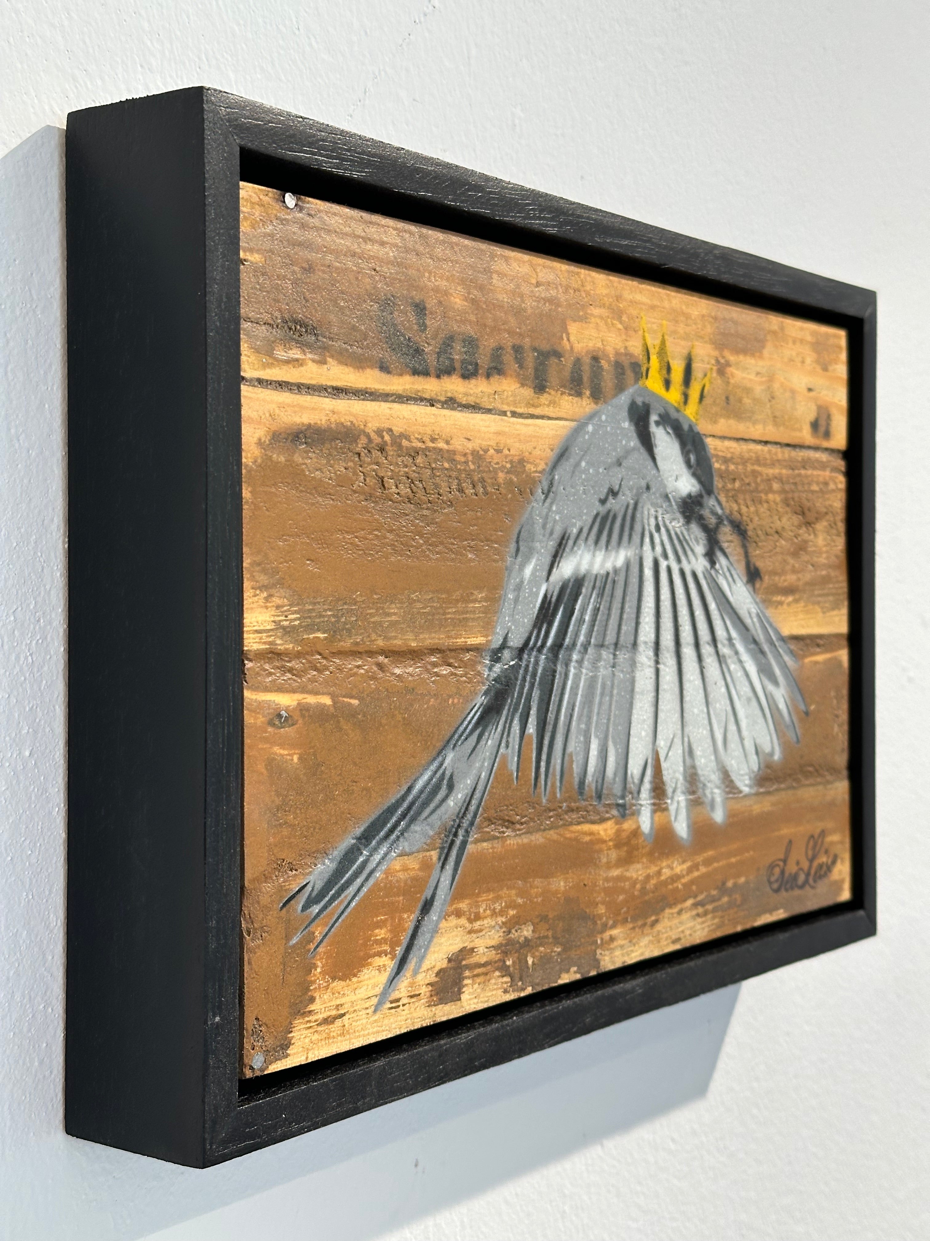 "Wren" / Saure Gurke #62