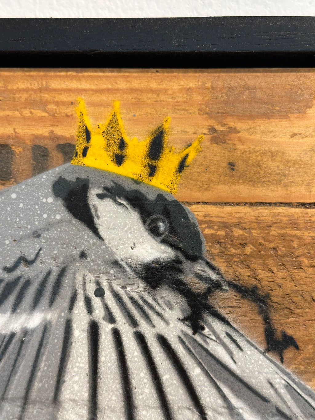 "Zaunkönig" / Saure Gurke #62