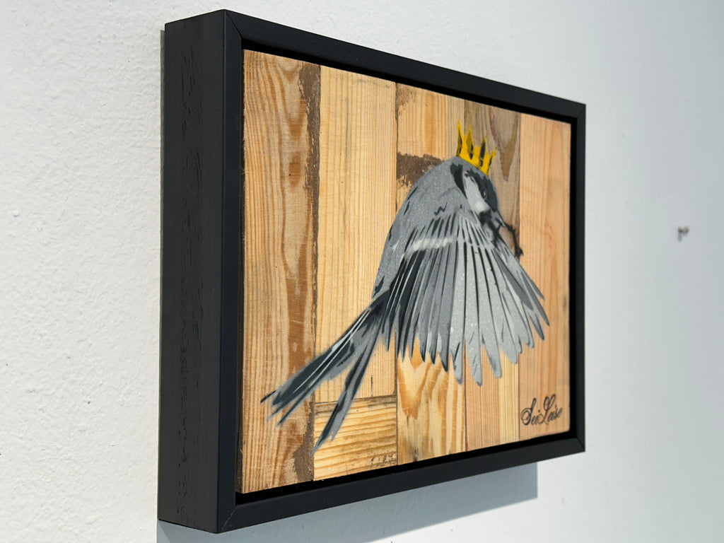 "Wren" / Saure Gurke #115