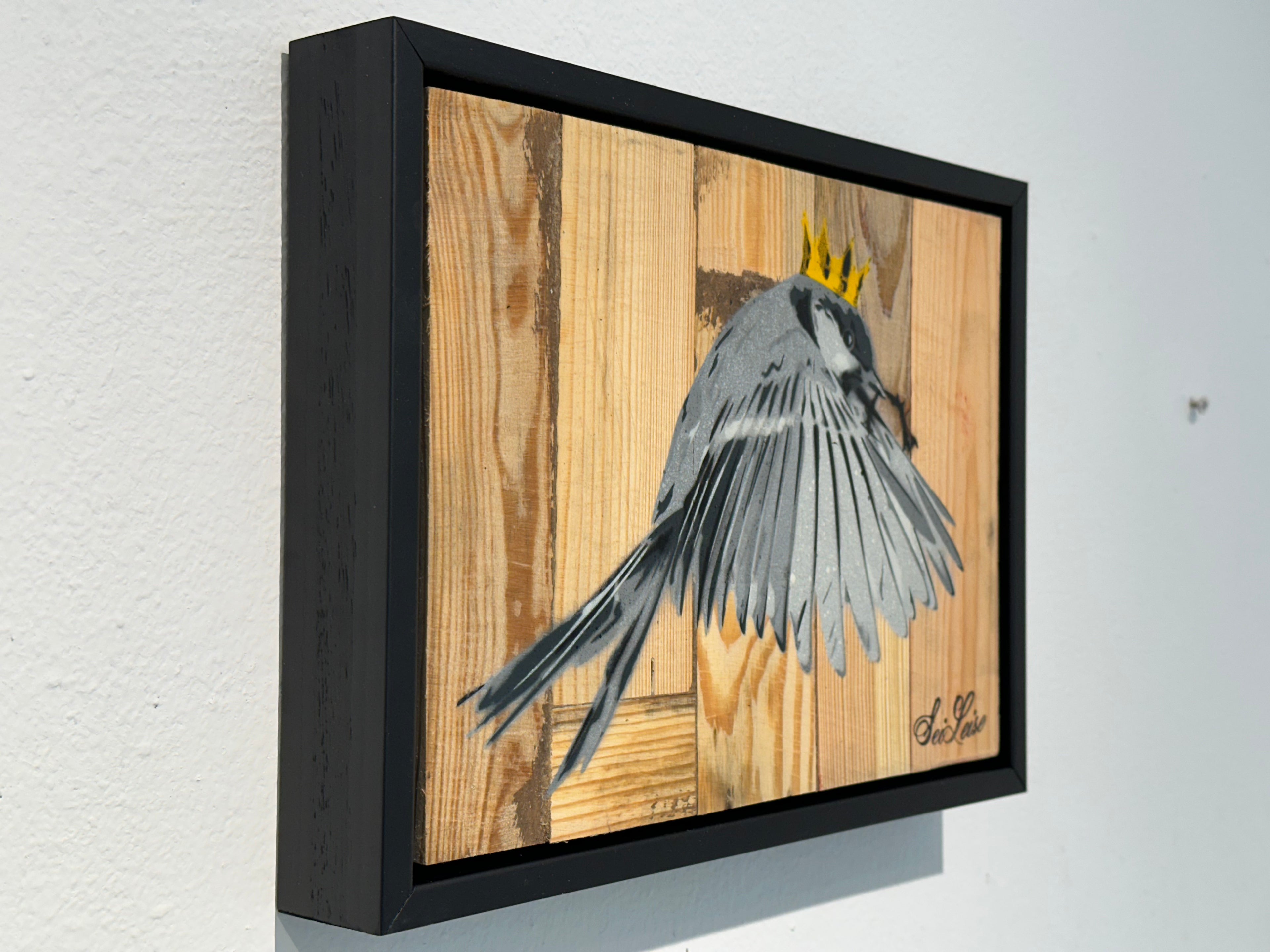 "Wren" / Saure Gurke #115