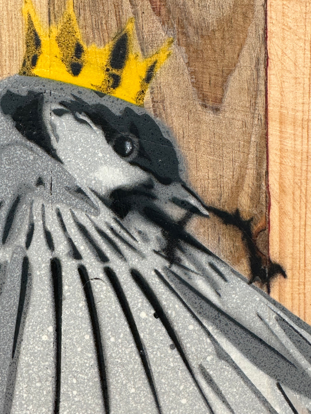 "Wren" / Saure Gurke #115