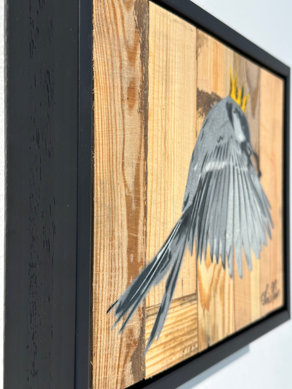 "Wren" / Saure Gurke #115