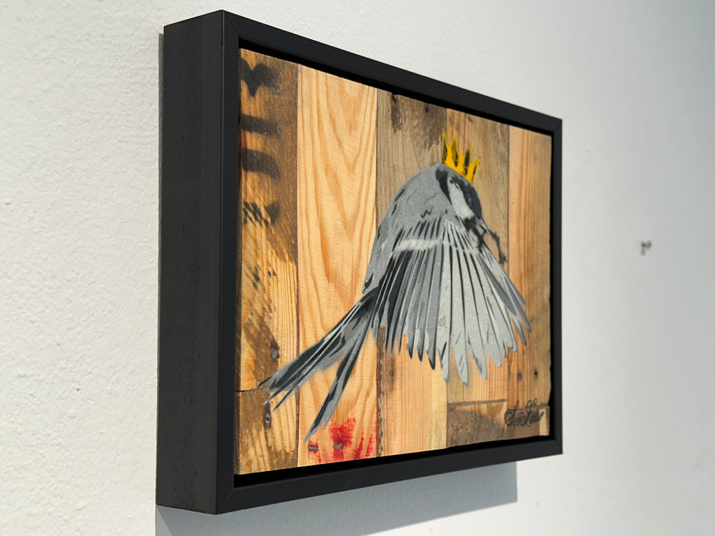 "Wren" / Saure Gurke #117