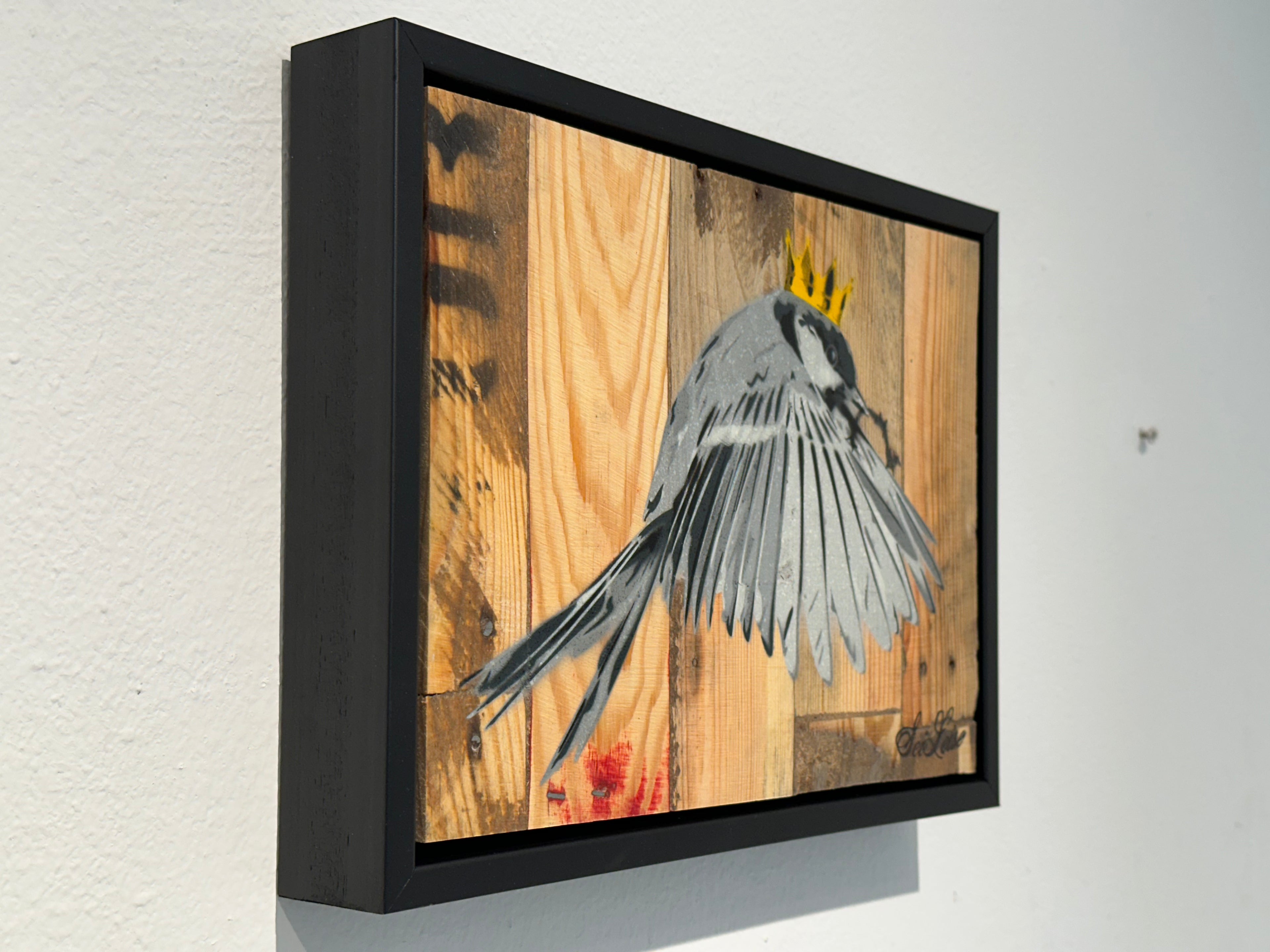 "Wren" / Saure Gurke #117