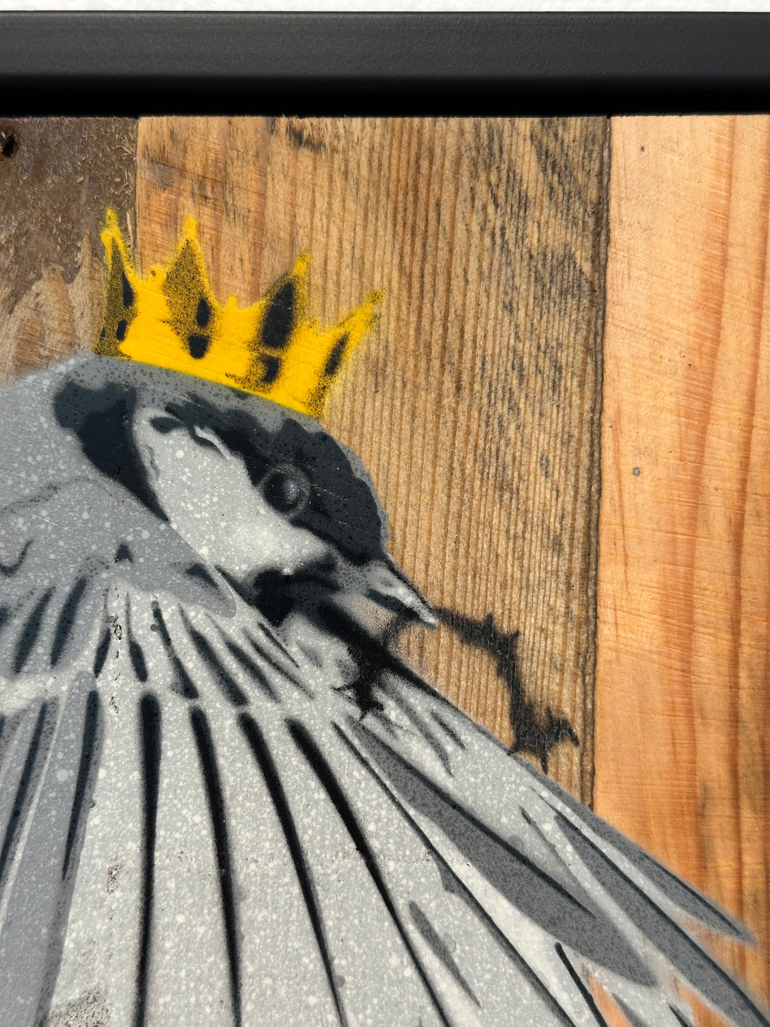 "Wren" / Saure Gurke #117