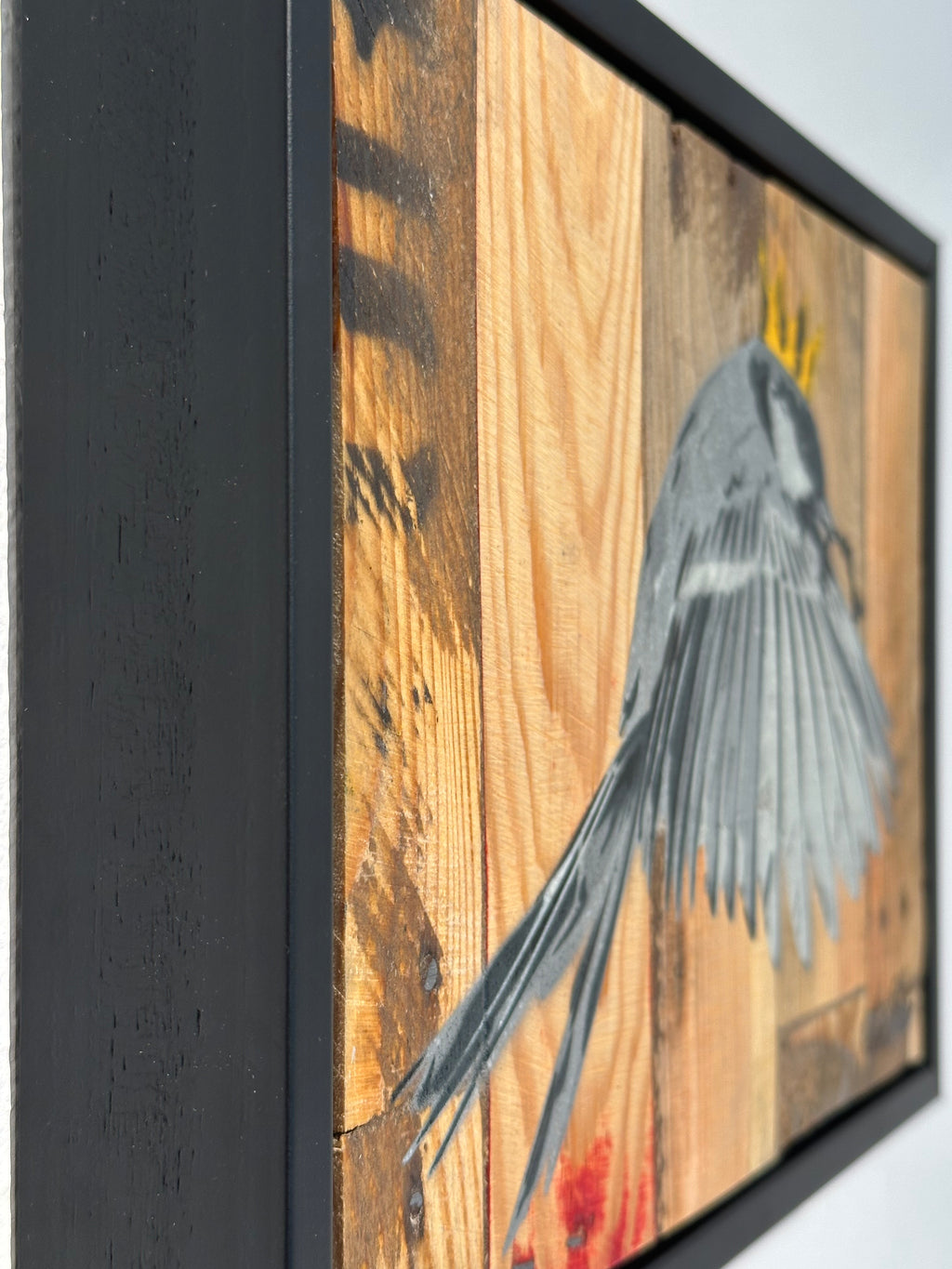 "Wren" / Saure Gurke #117