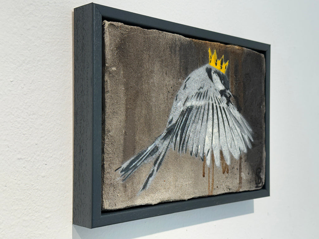 "Wren" / Saure Gurke #116