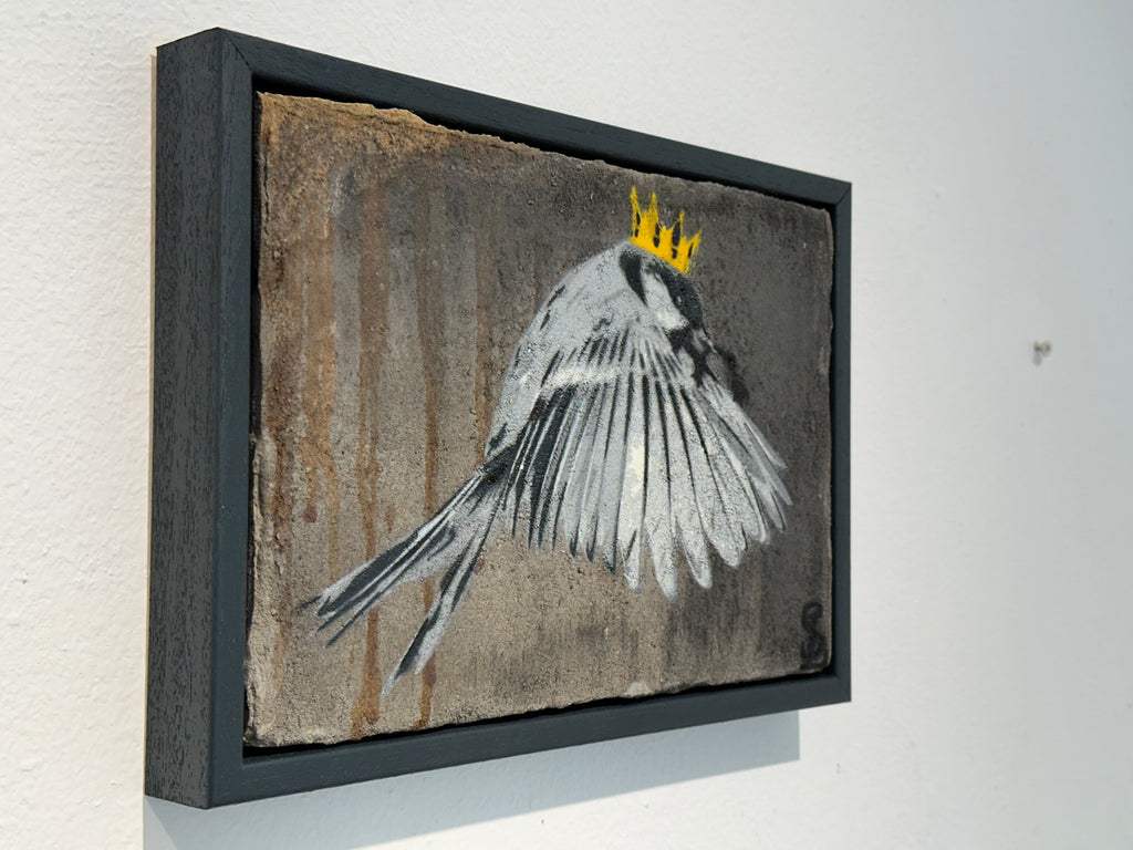 "Wren" / Saure Gurke #119