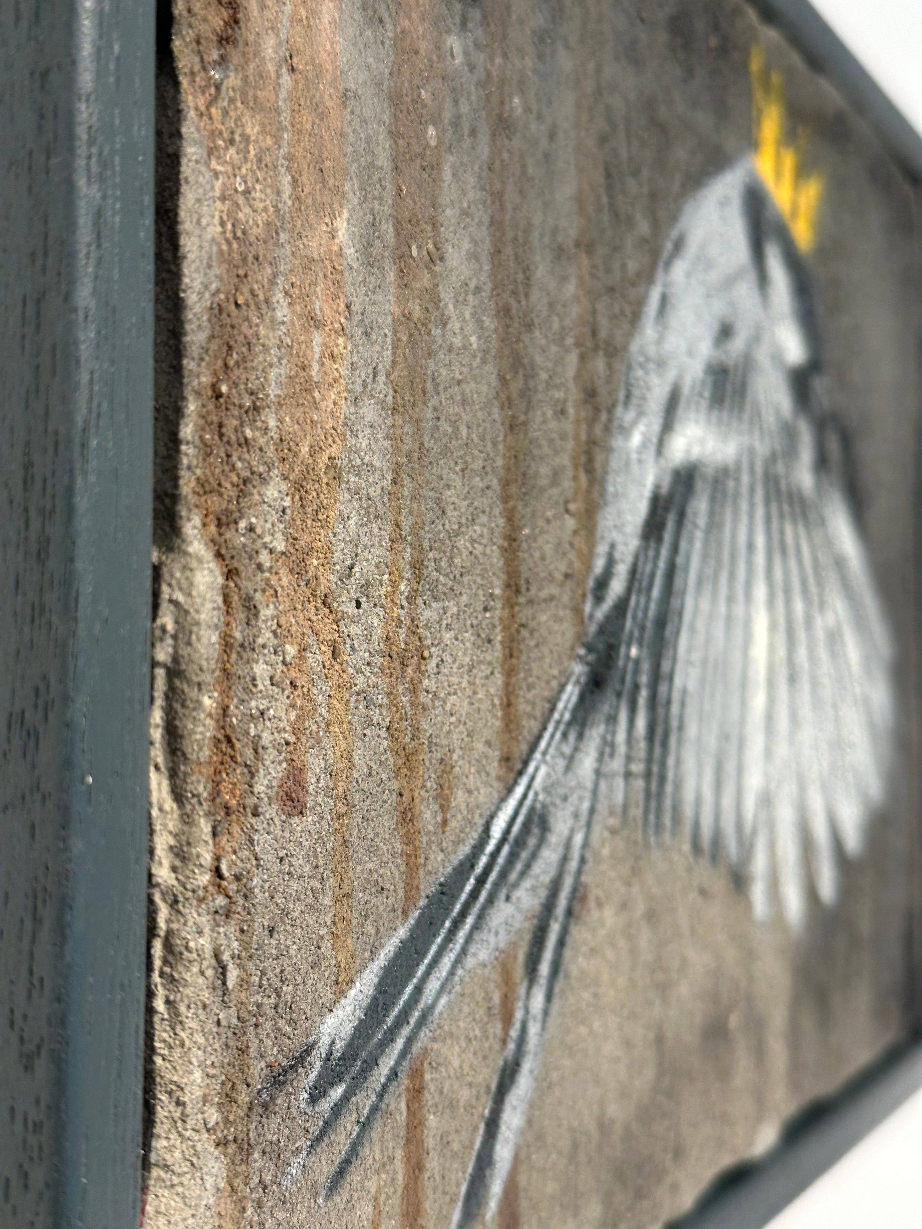 "Wren" / Saure Gurke #119