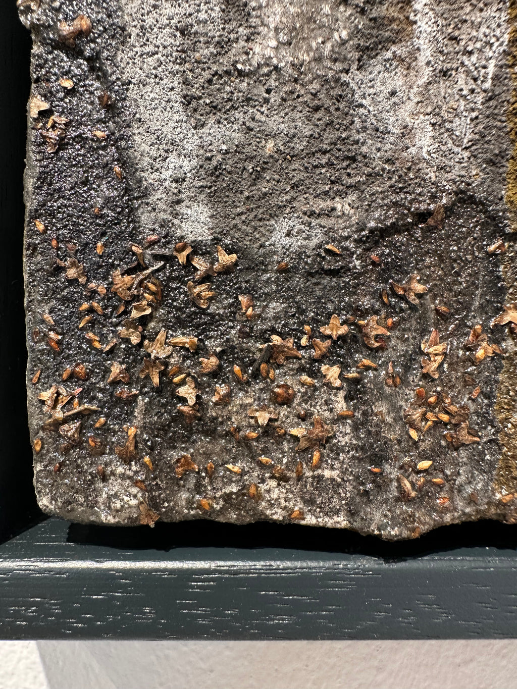 "Sad American Girl" / limited original