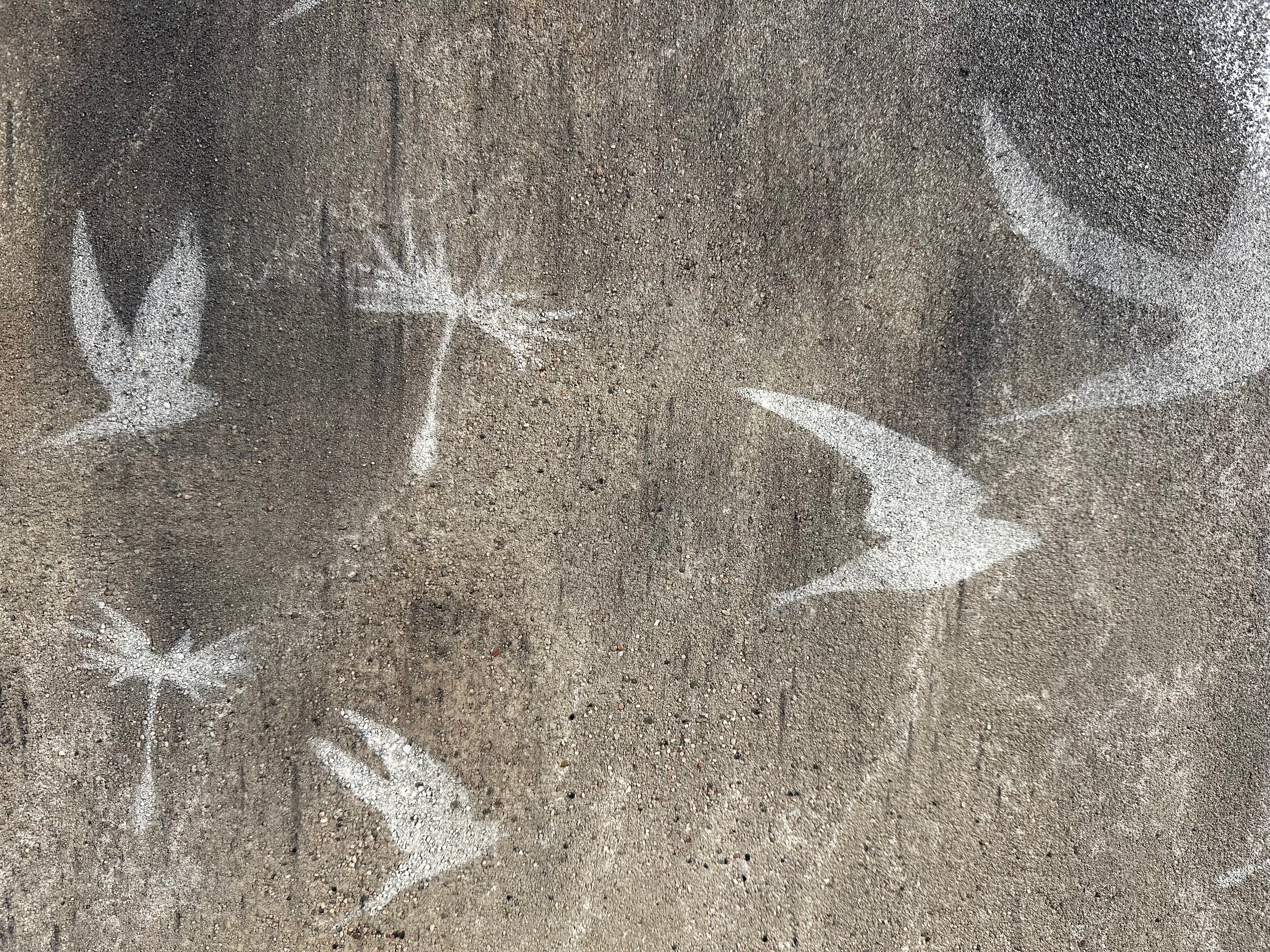 "Dandelion" / limited original