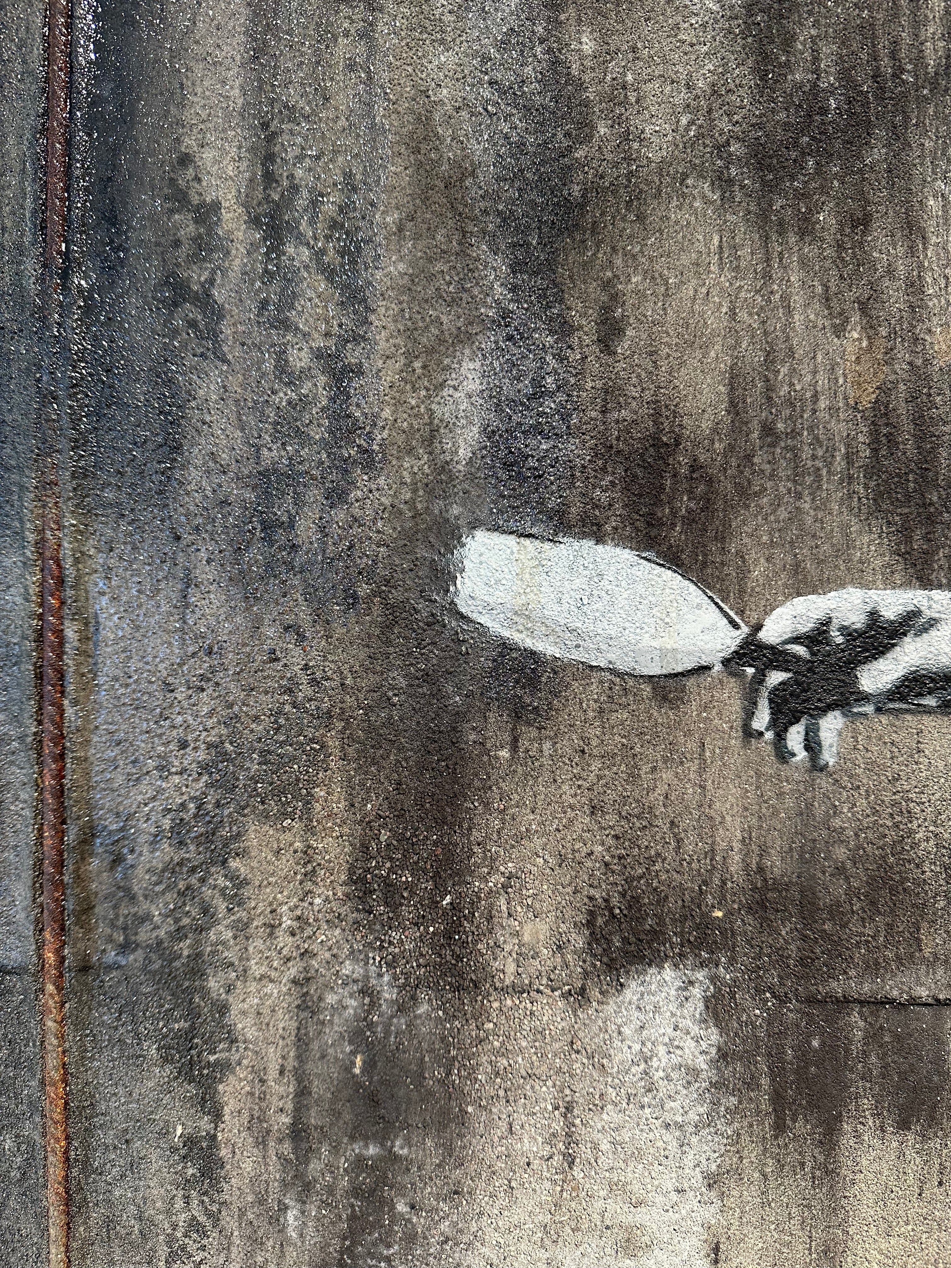 "Never Stop Dancing" / limited original