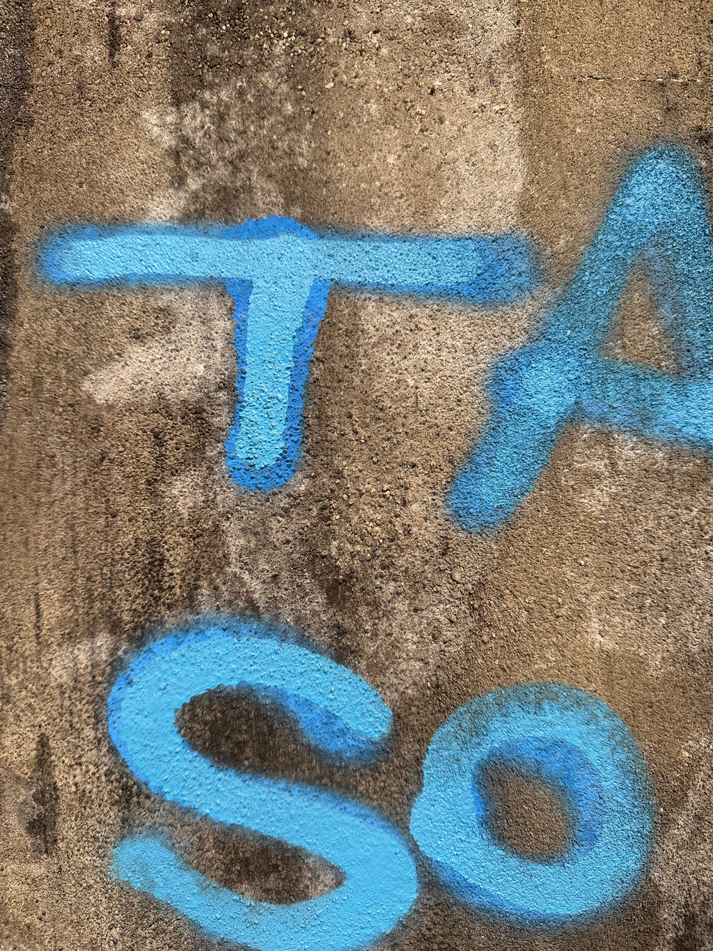 "Never Stop Dancing" / limited original