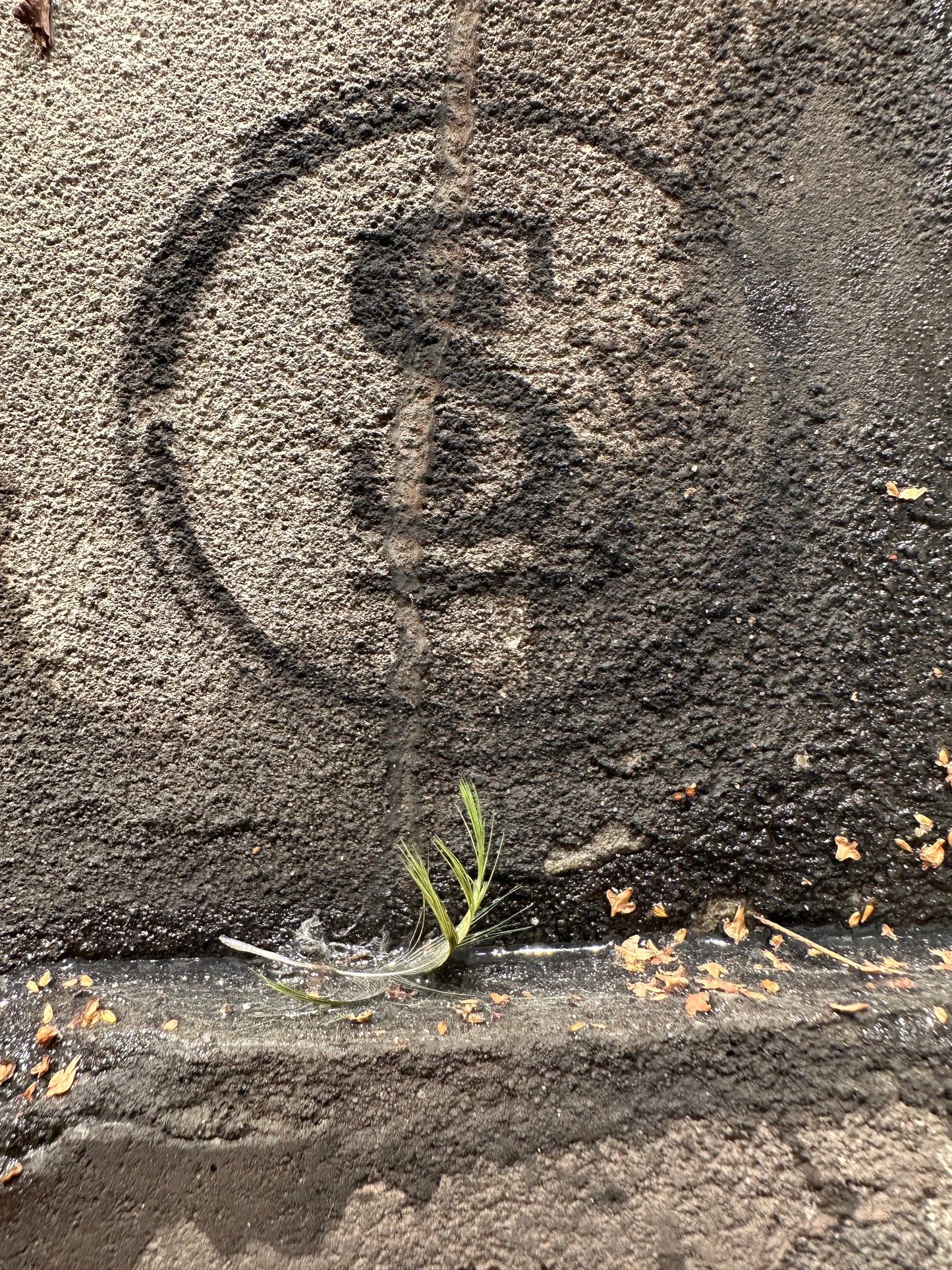 "réveille-toi" / original limité