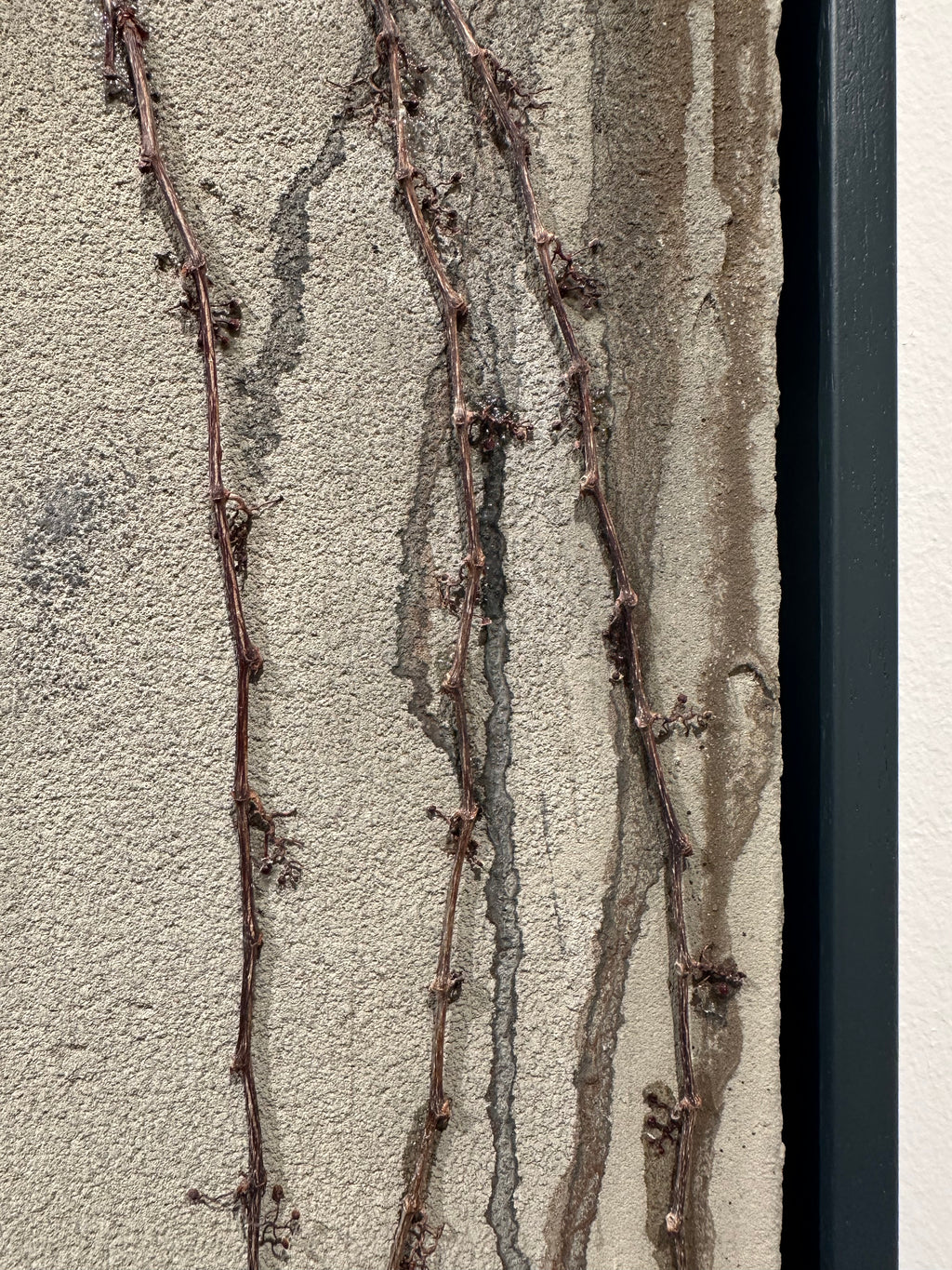 "wake up" / limited original