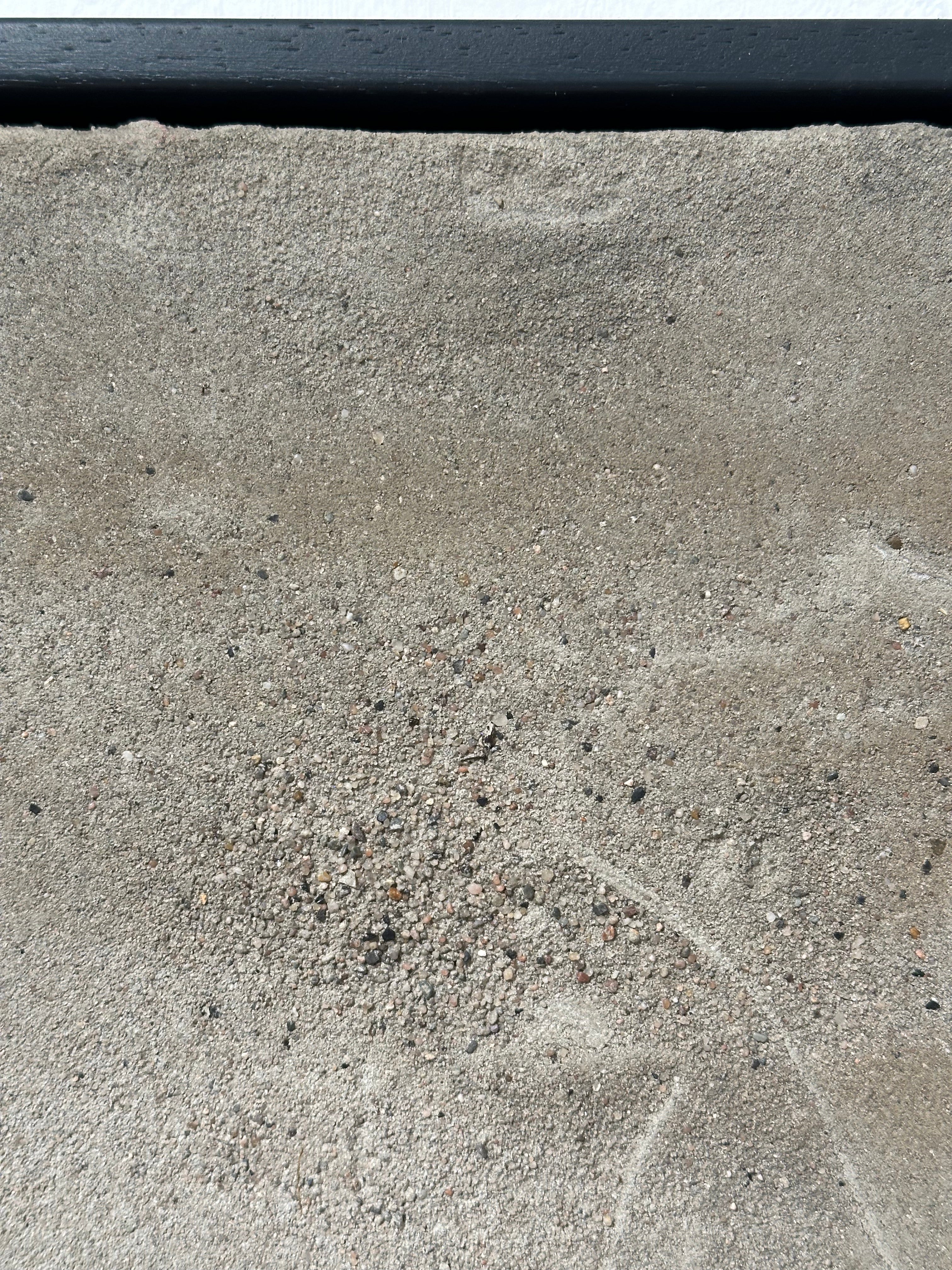 "Golden Spoon" / limited original