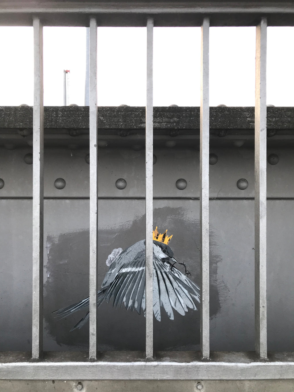 "Wren" / Saure Gurke #119