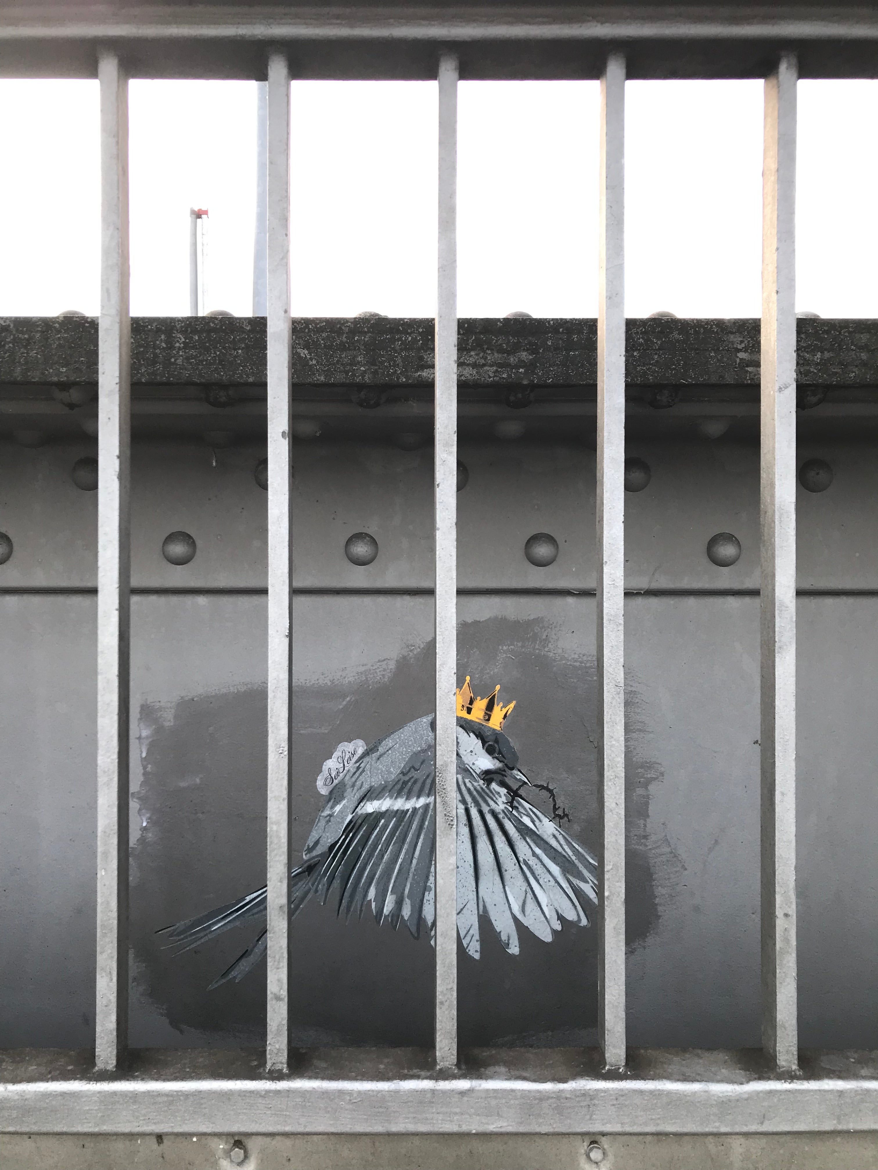 "Wren" / Saure Gurke #119