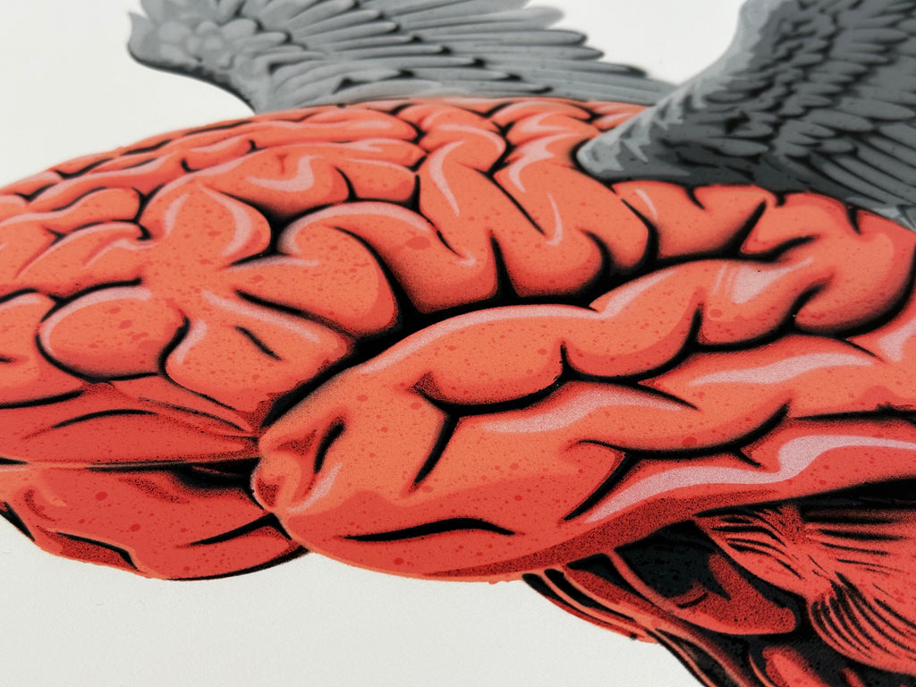 "beyond rationality" / 1.Edition