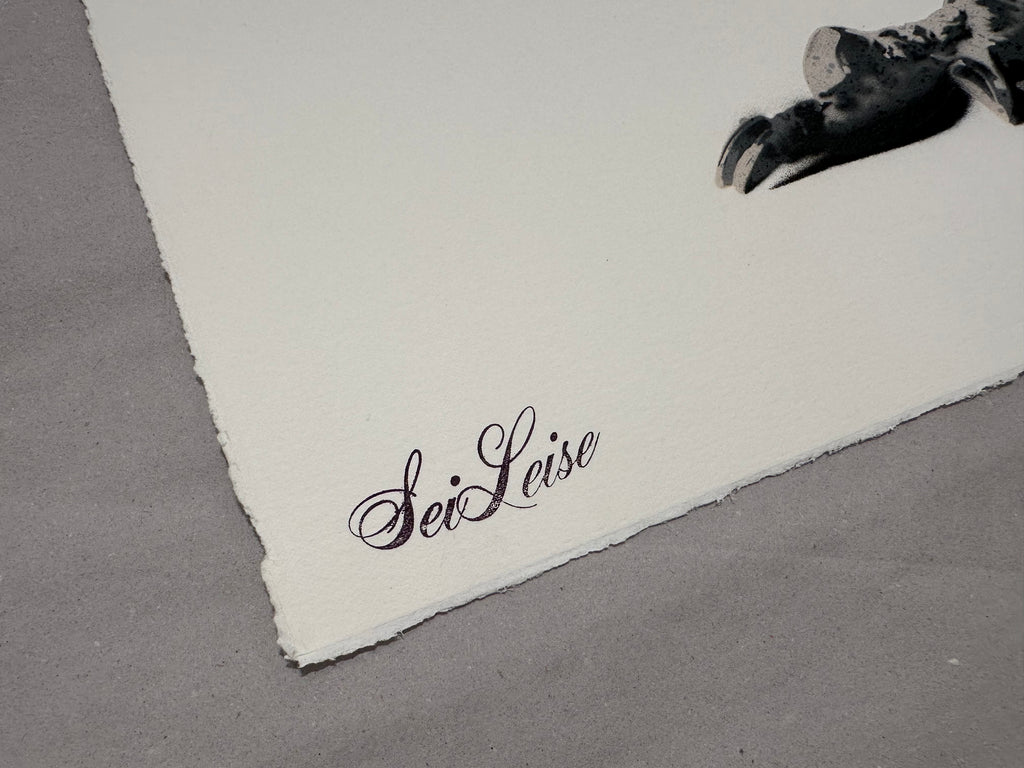 seiLeise - Hard Times - 2. Edition