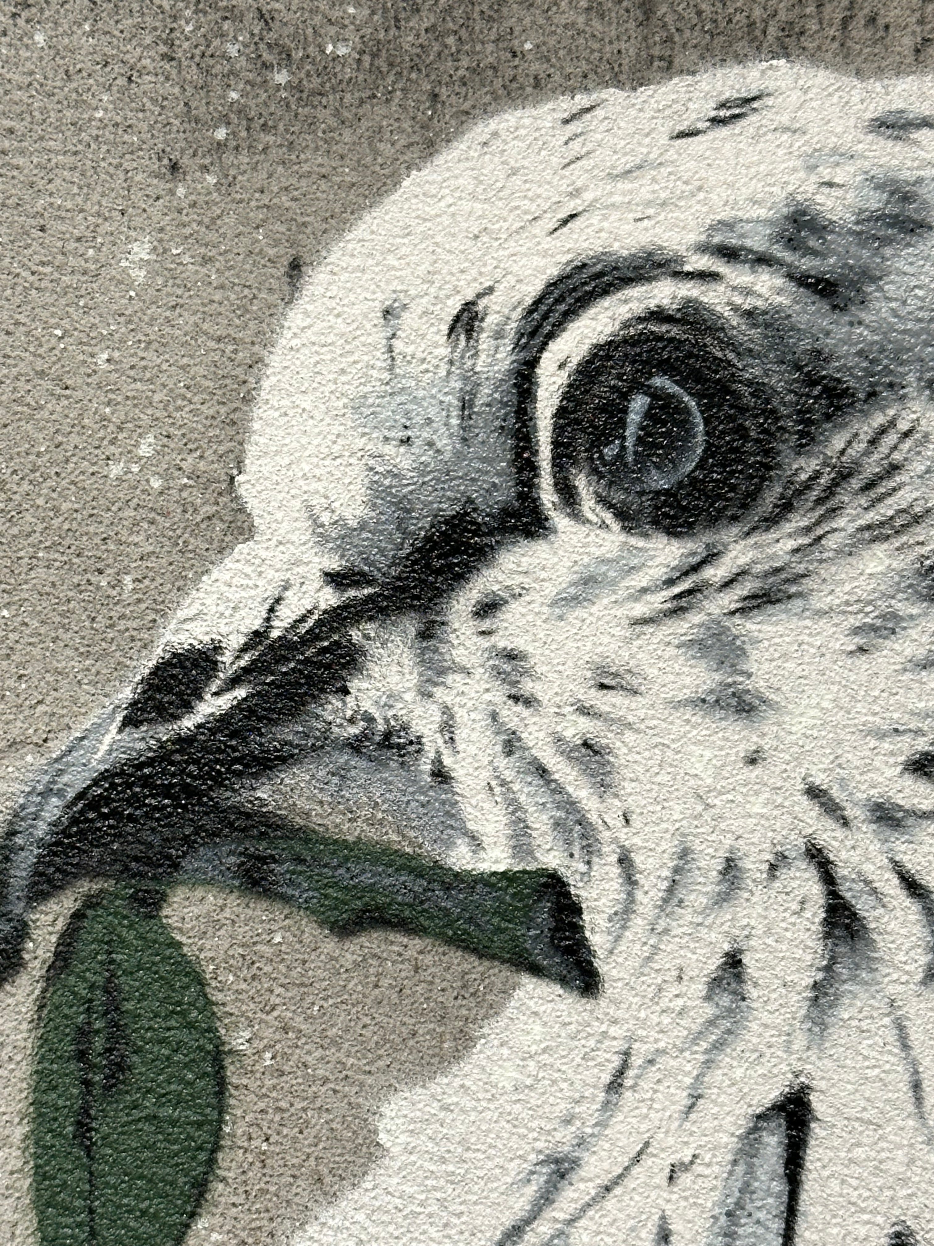 "Hard Times" / limited original