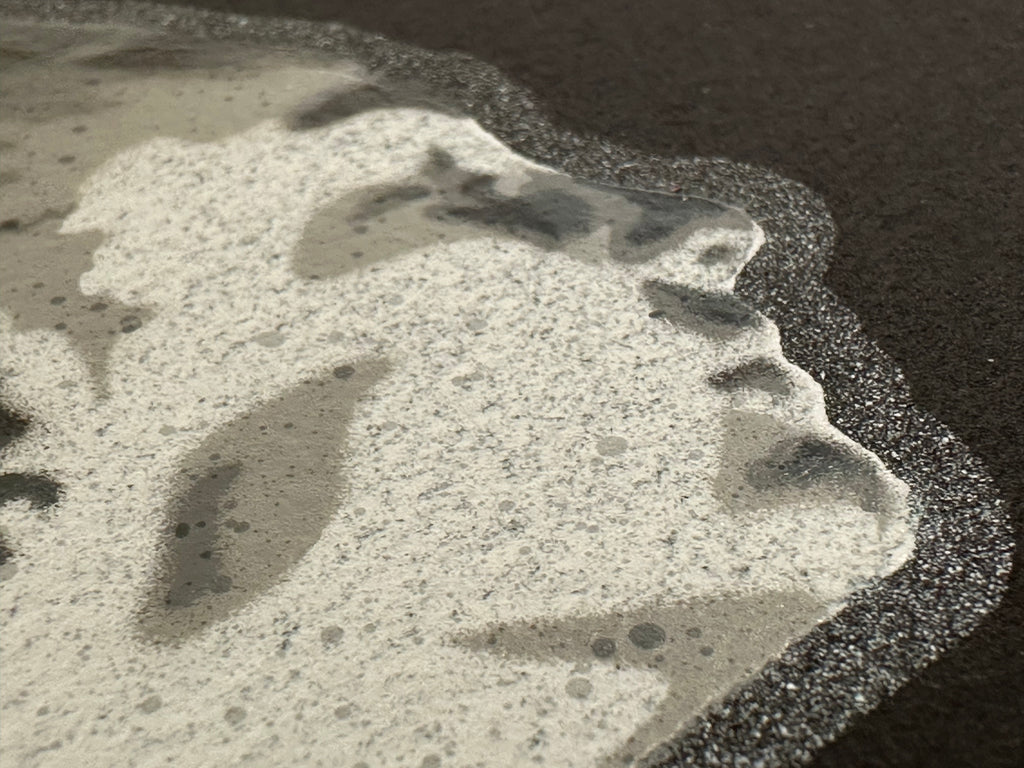 seiLeise // Never Stop Dancing // Black Edition (10 Sheets)