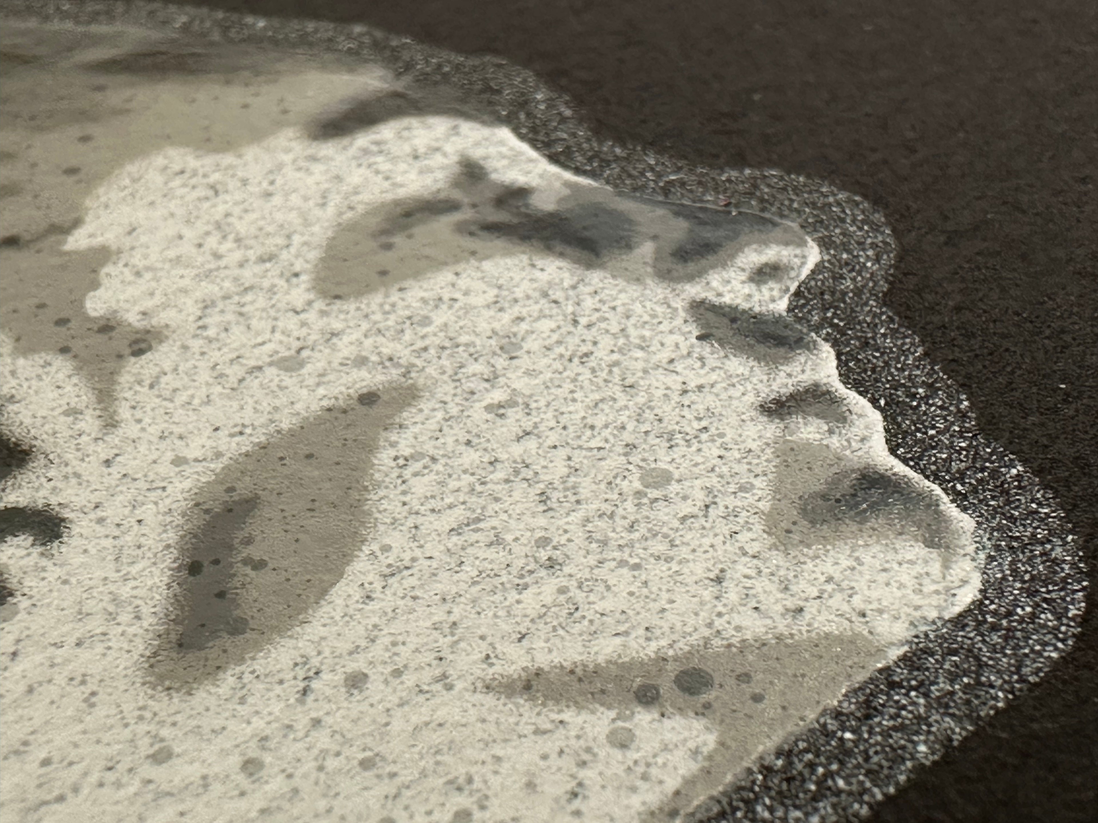 seiLeise // Never Stop Dancing // Black Edition (10 Sheets)