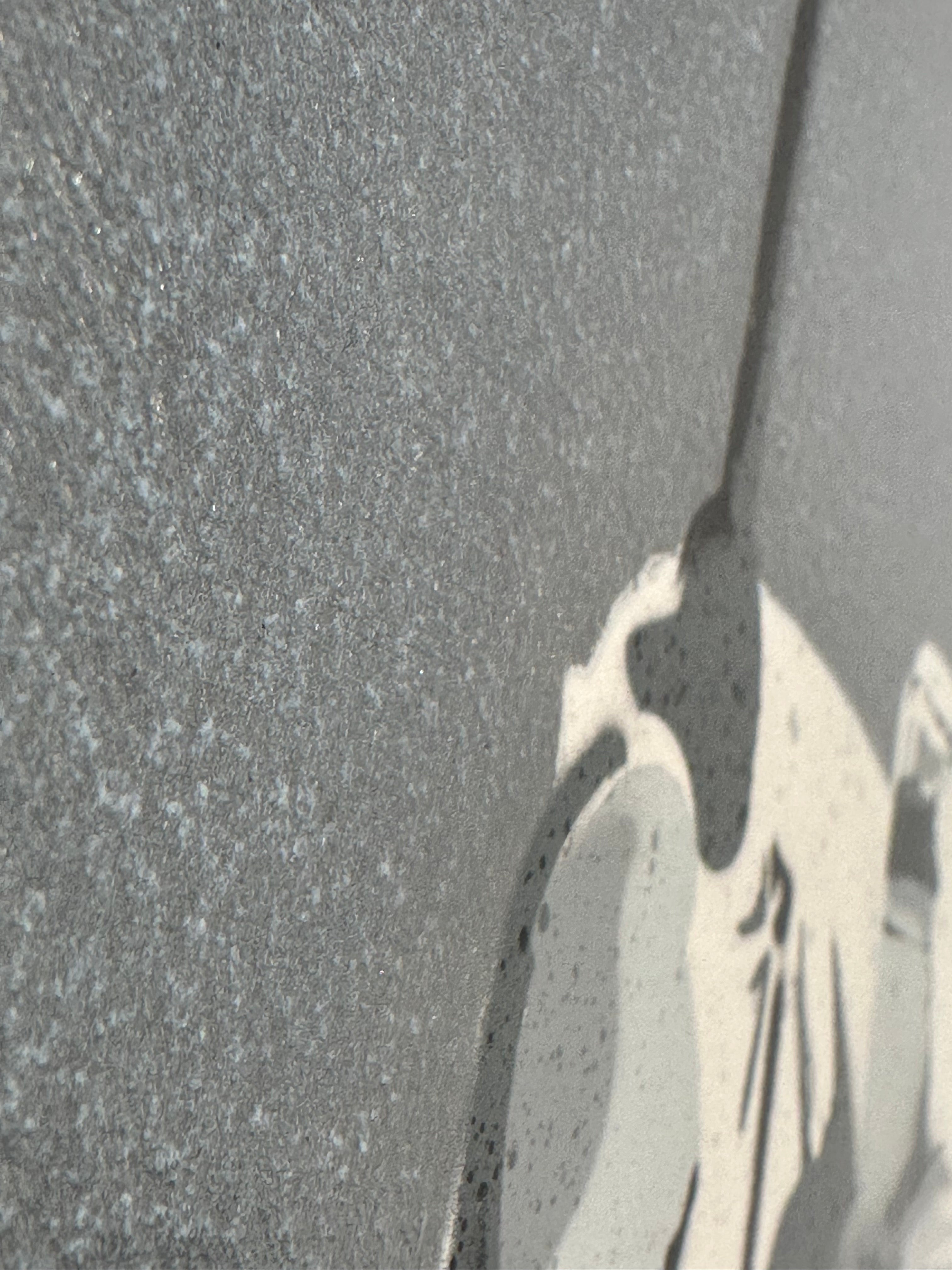 "Love Nation" / Limited Original