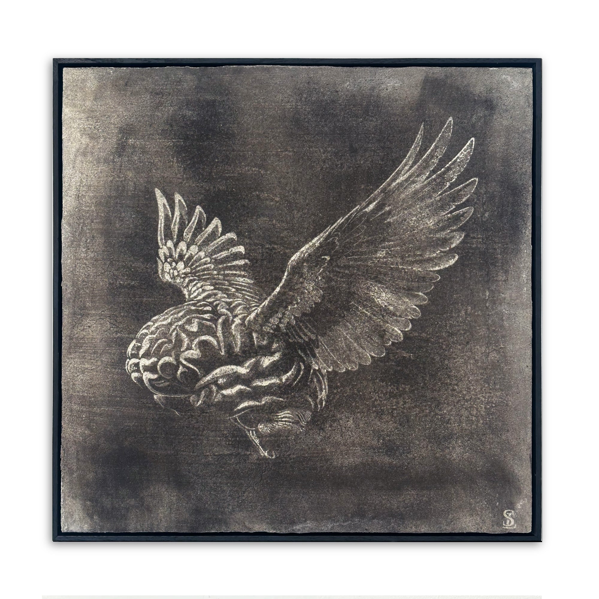 « beyond rationality » / édition originale limitée / n° de catalogue 214