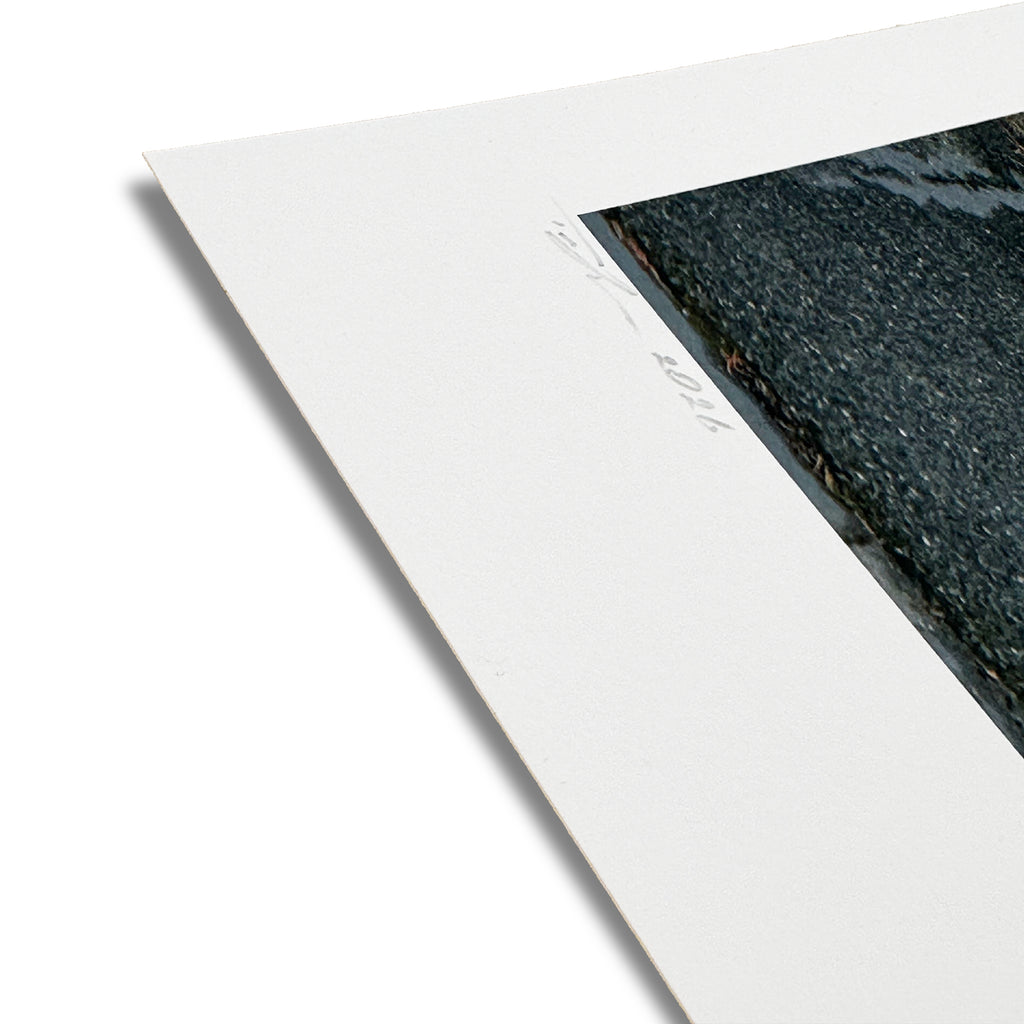 messager de la paix — Documentaire urbain