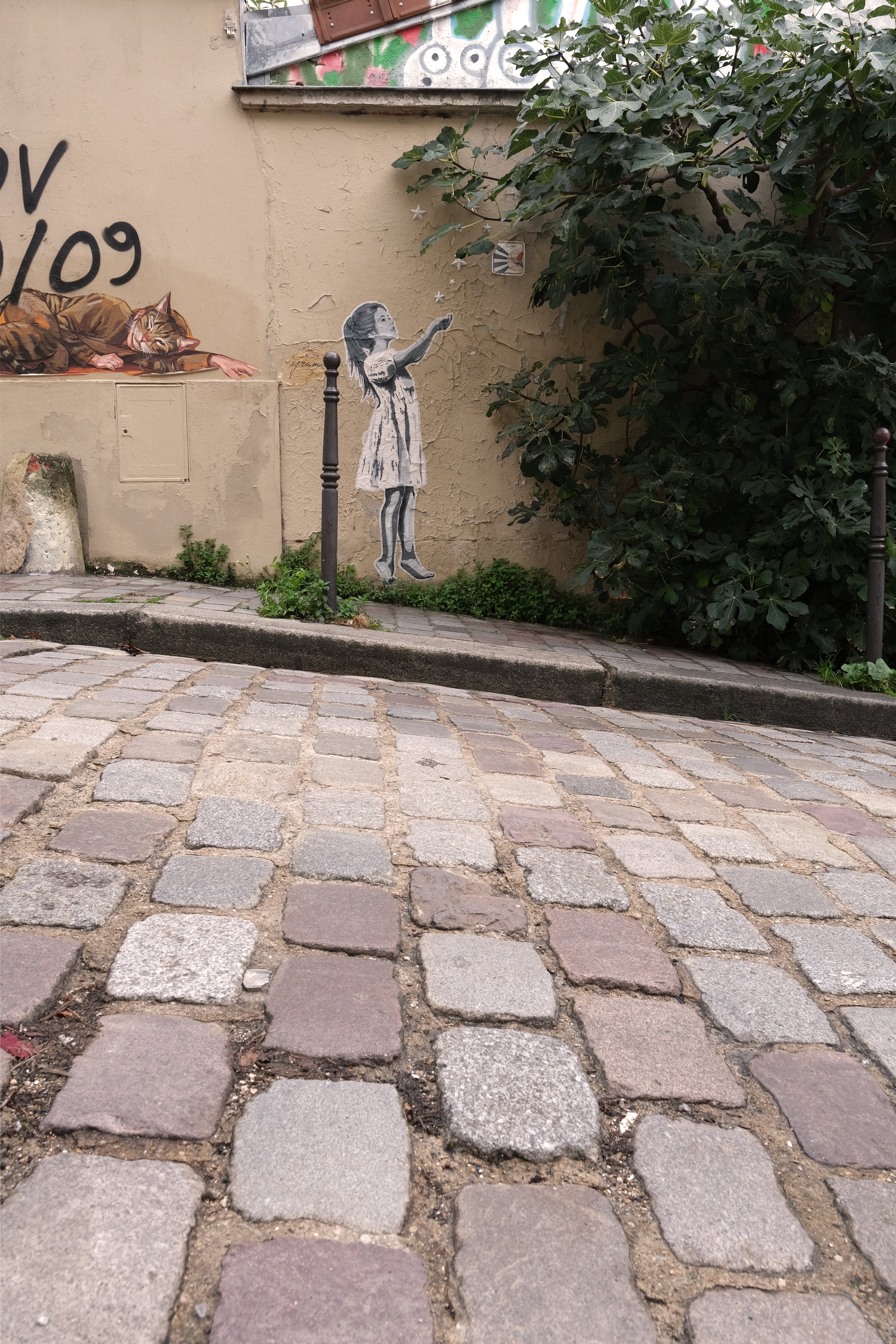 "Star Catcher" / limited original