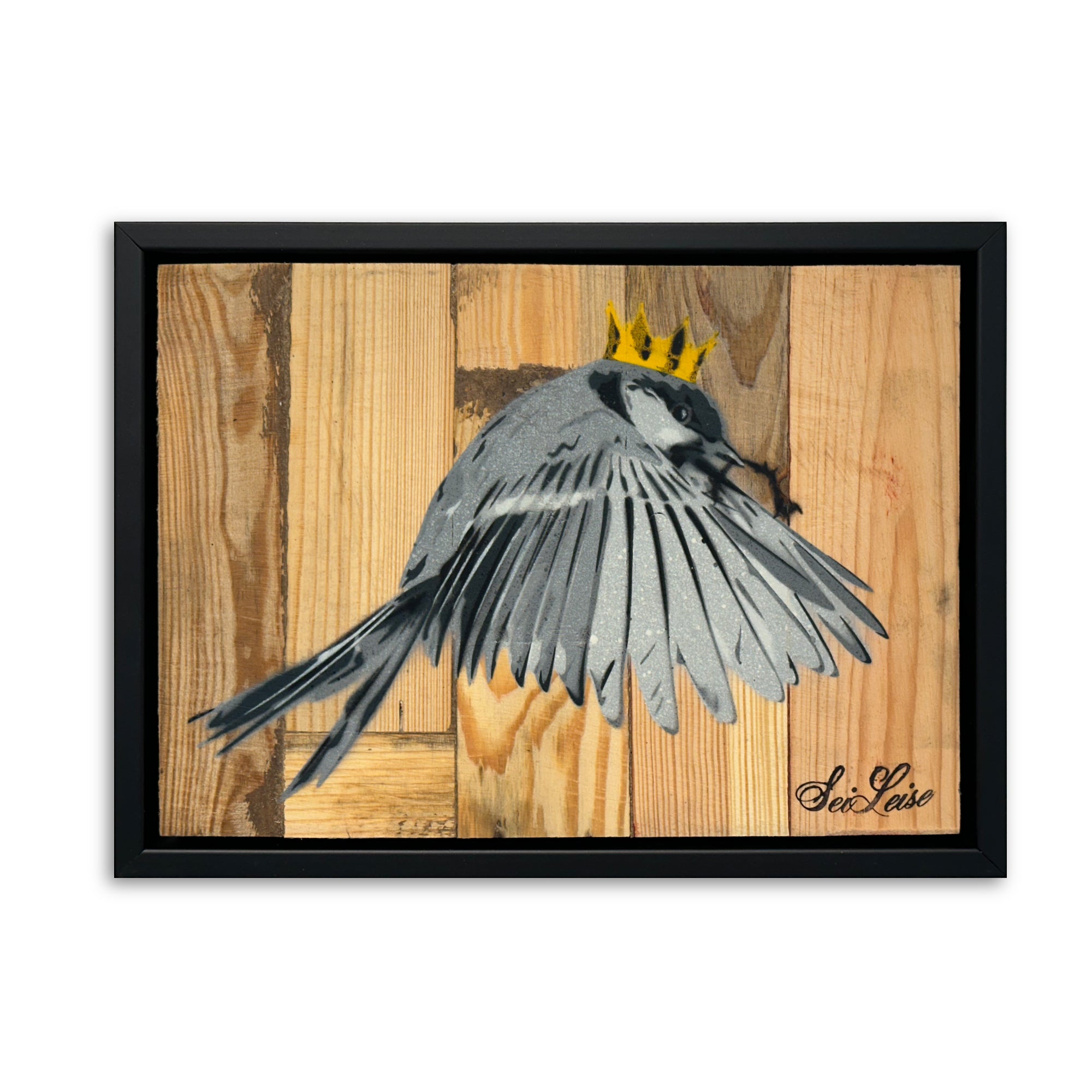 "Wren" / Saure Gurke #115