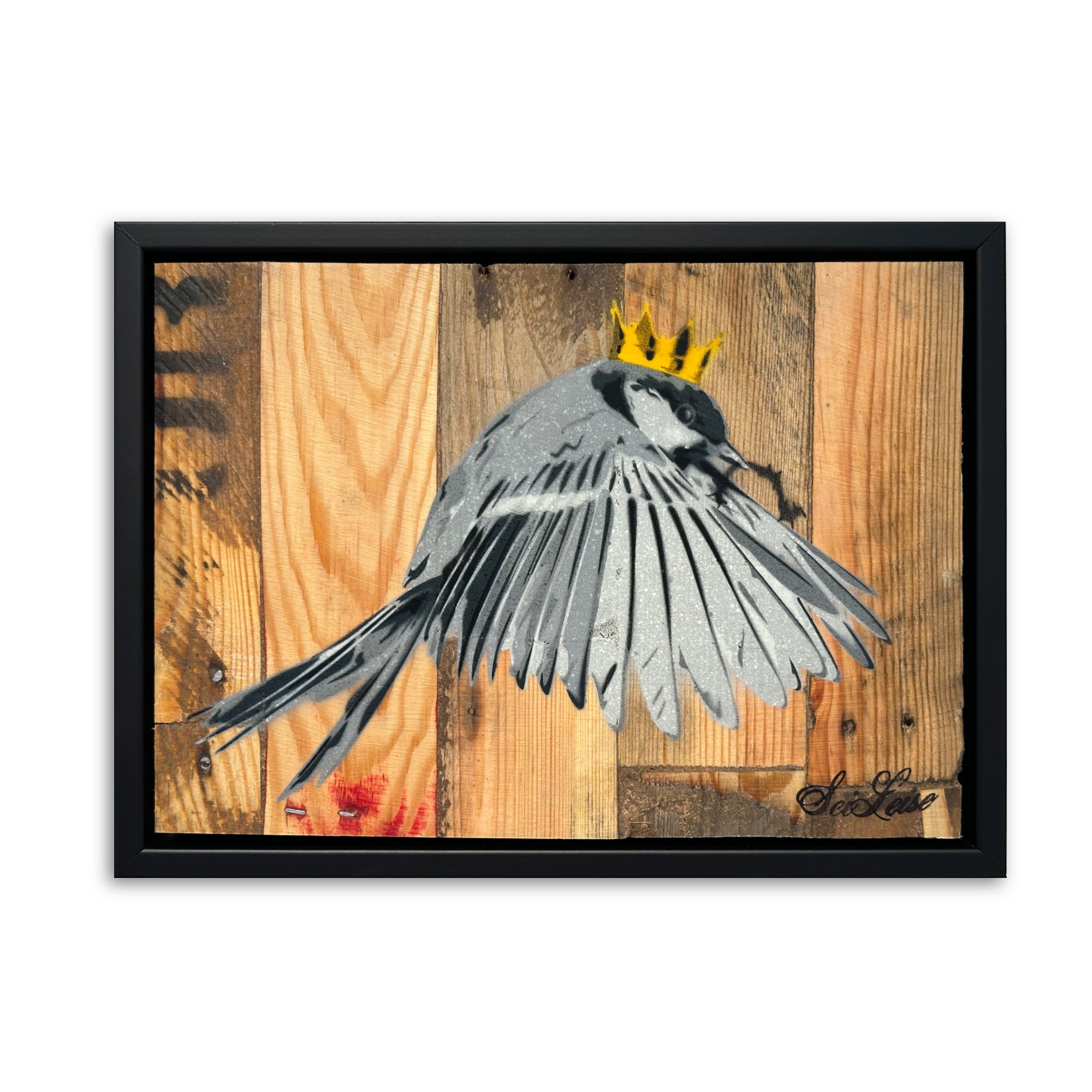 "Wren" / Saure Gurke #117