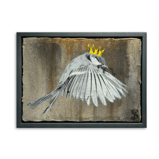 « Wren » / Concombre aigre n° 55