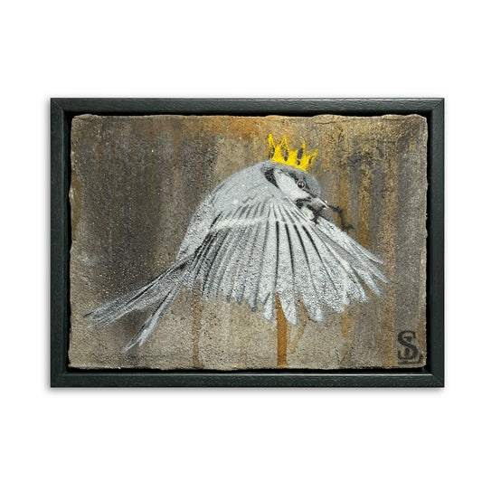 « Wren » / Concombre aigre n° 56