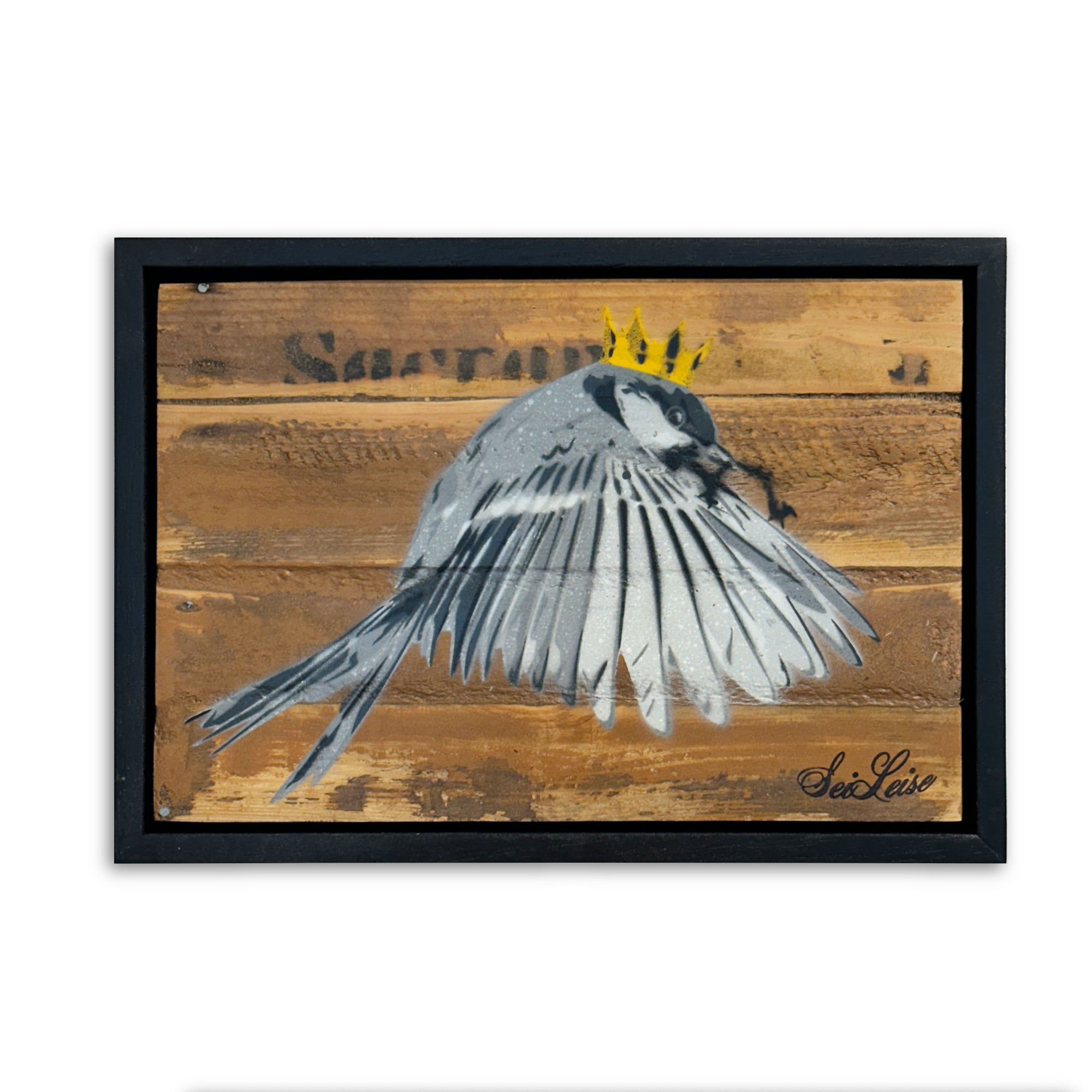 "Wren" / Saure Gurke #62