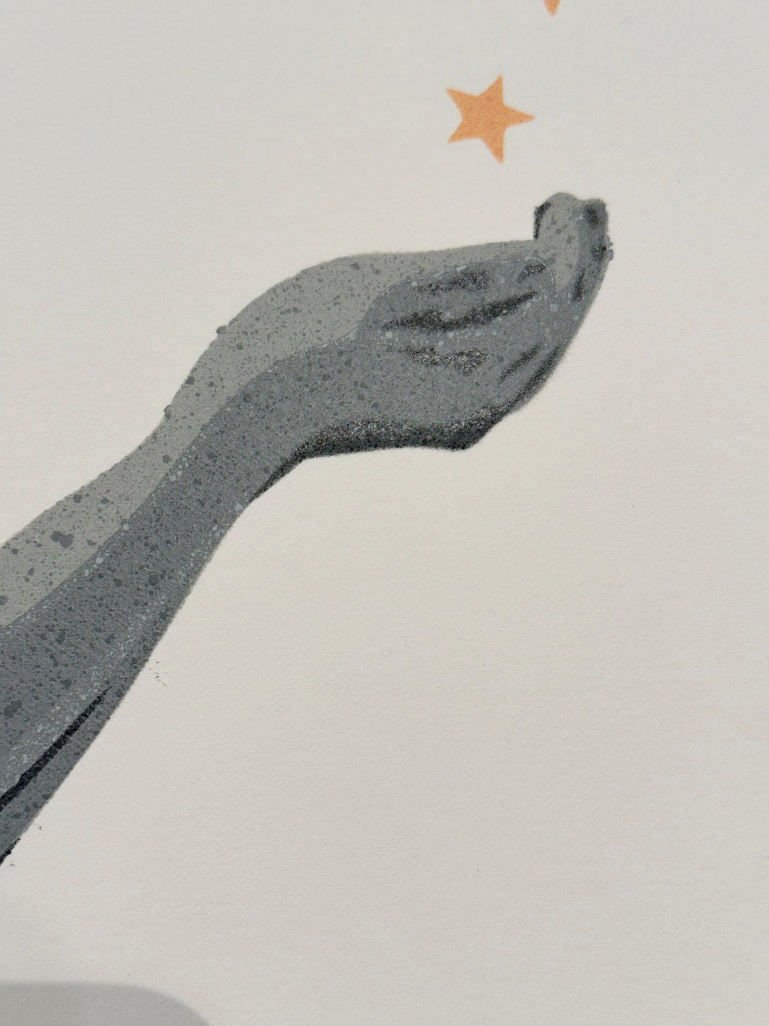 seiLeise // Star Catcher // 2nd Edition