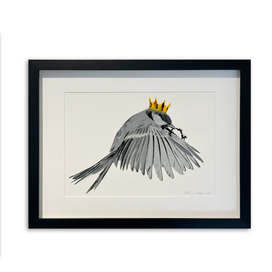 « Wren » / Petite édition
